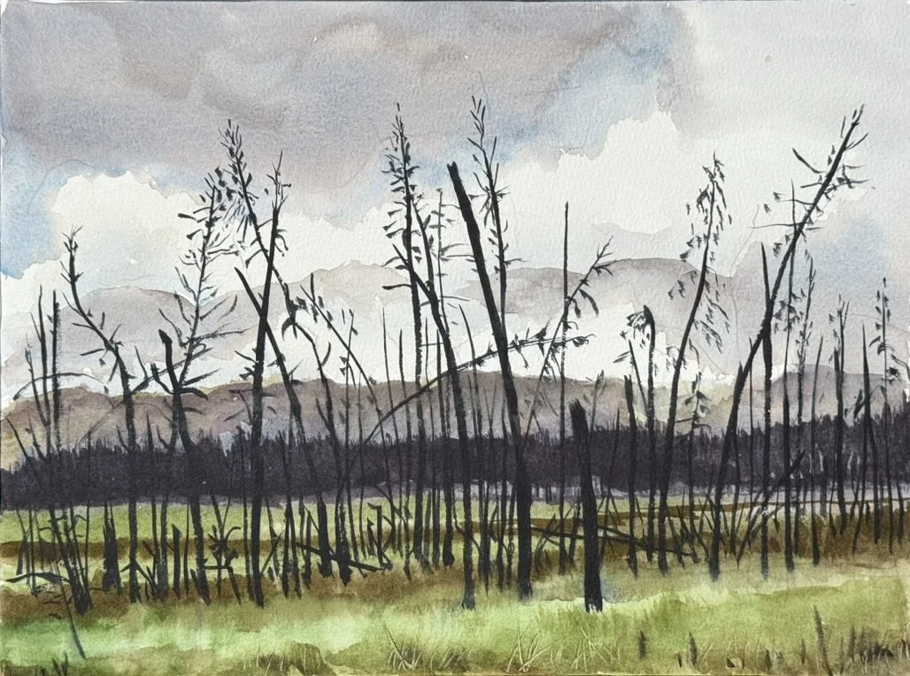 "After the Fire," watercolor and pencil, 9" x 12" Grand Lake, CO 2025
