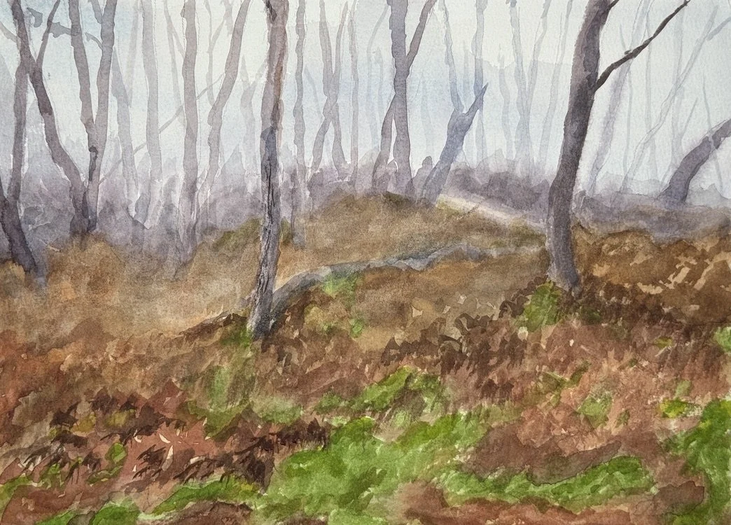 "Forest Fog," 9"x12" watercolor and pencil, Cape Cod   2026    $300