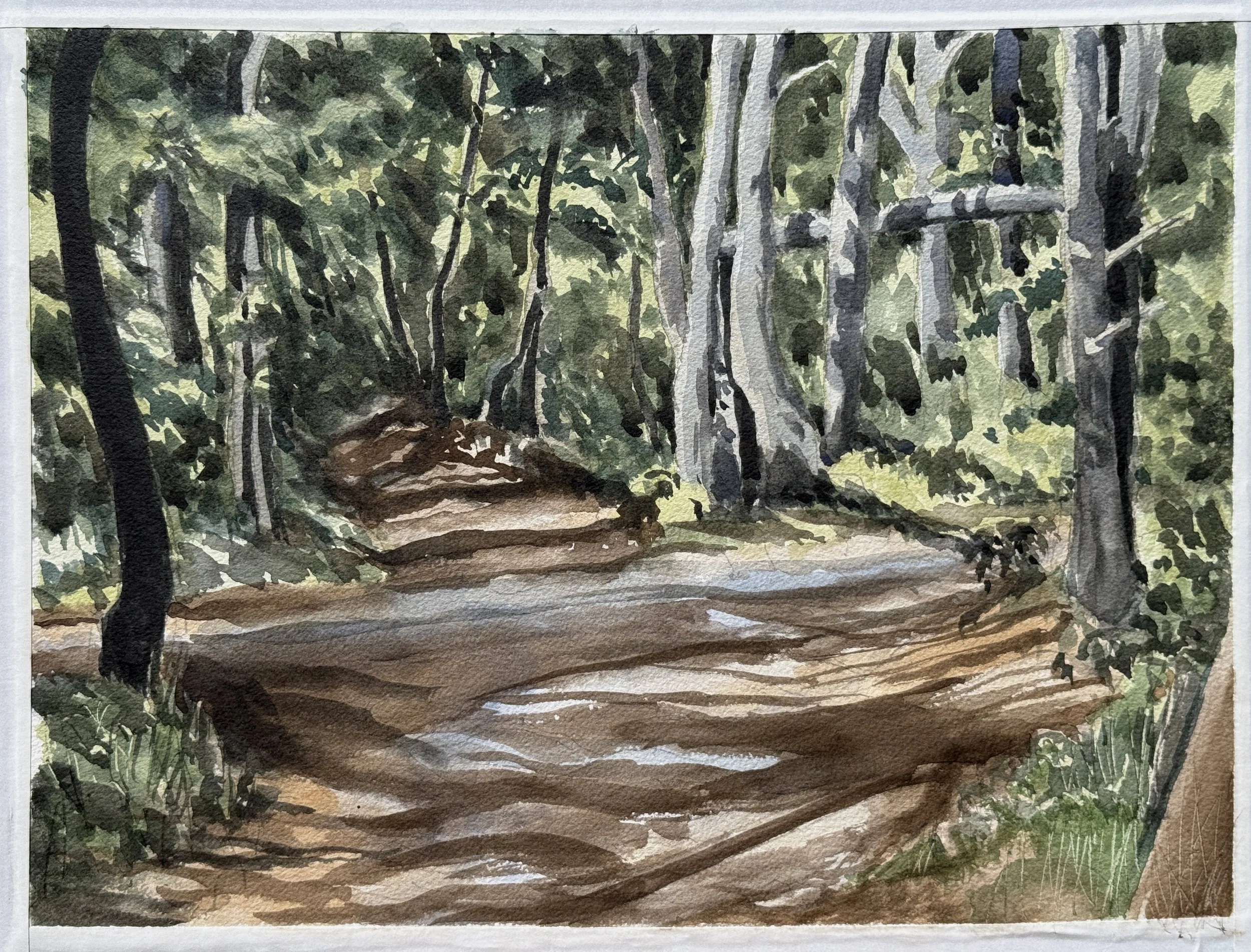 "Crossroad," 11"x15" watercolor and pencil, Outer Cape Cod, 2026  $400