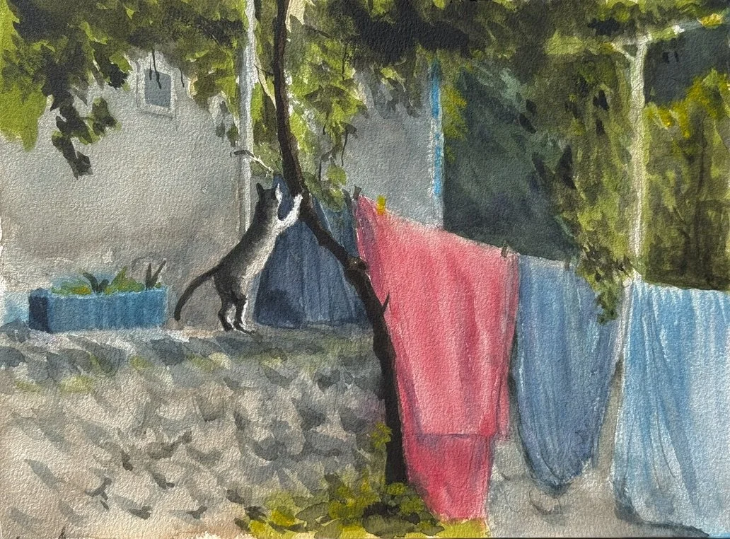 "Clothesline over Grenada," 9"x12" watercolor and pencil, 2025  $250