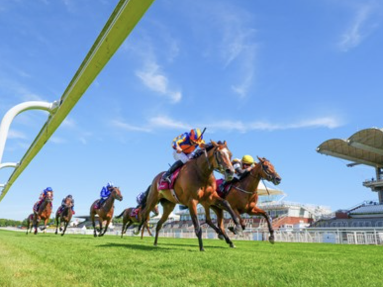 Grand Opening Derby Style