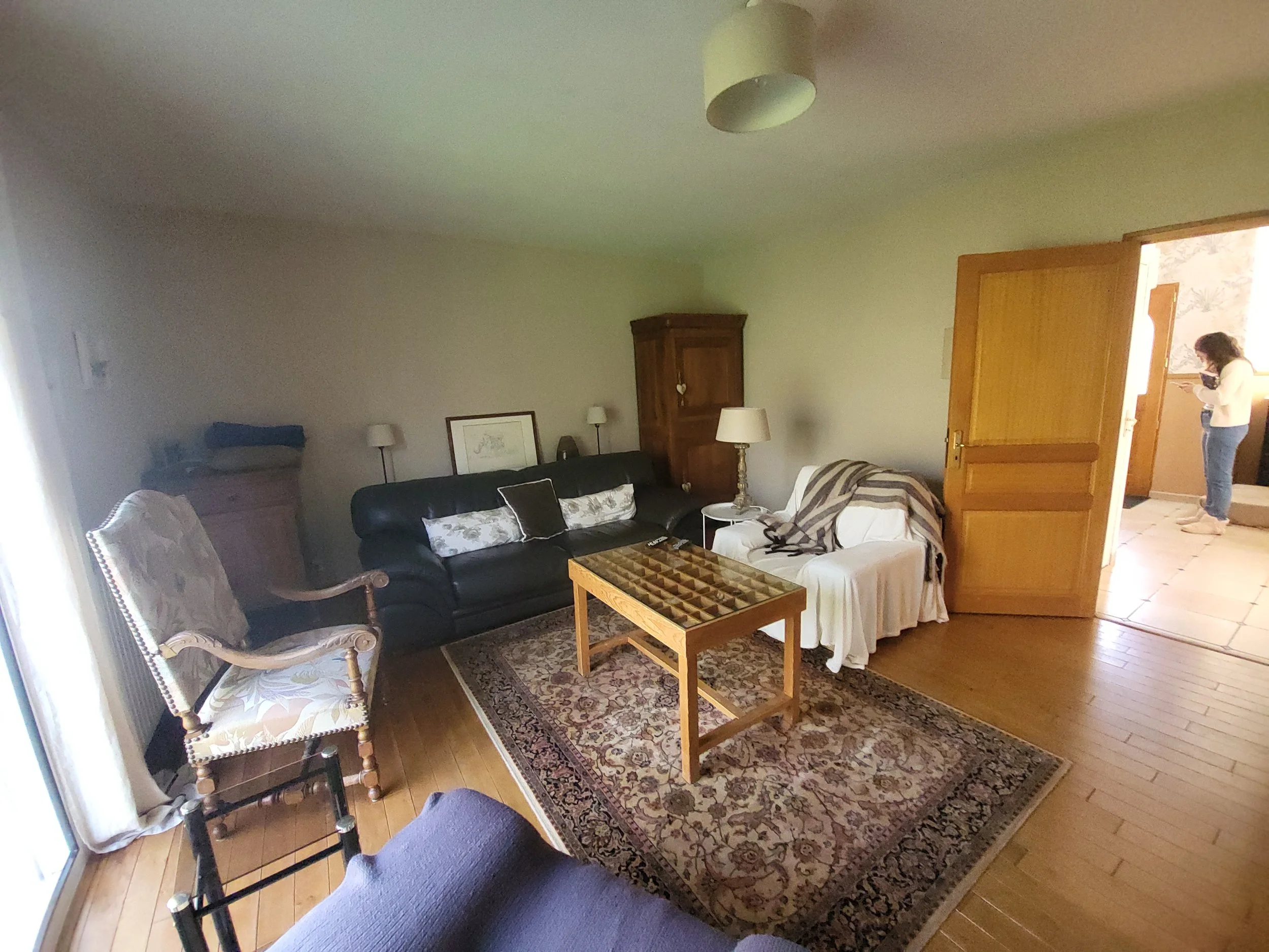 Photo du salon existant