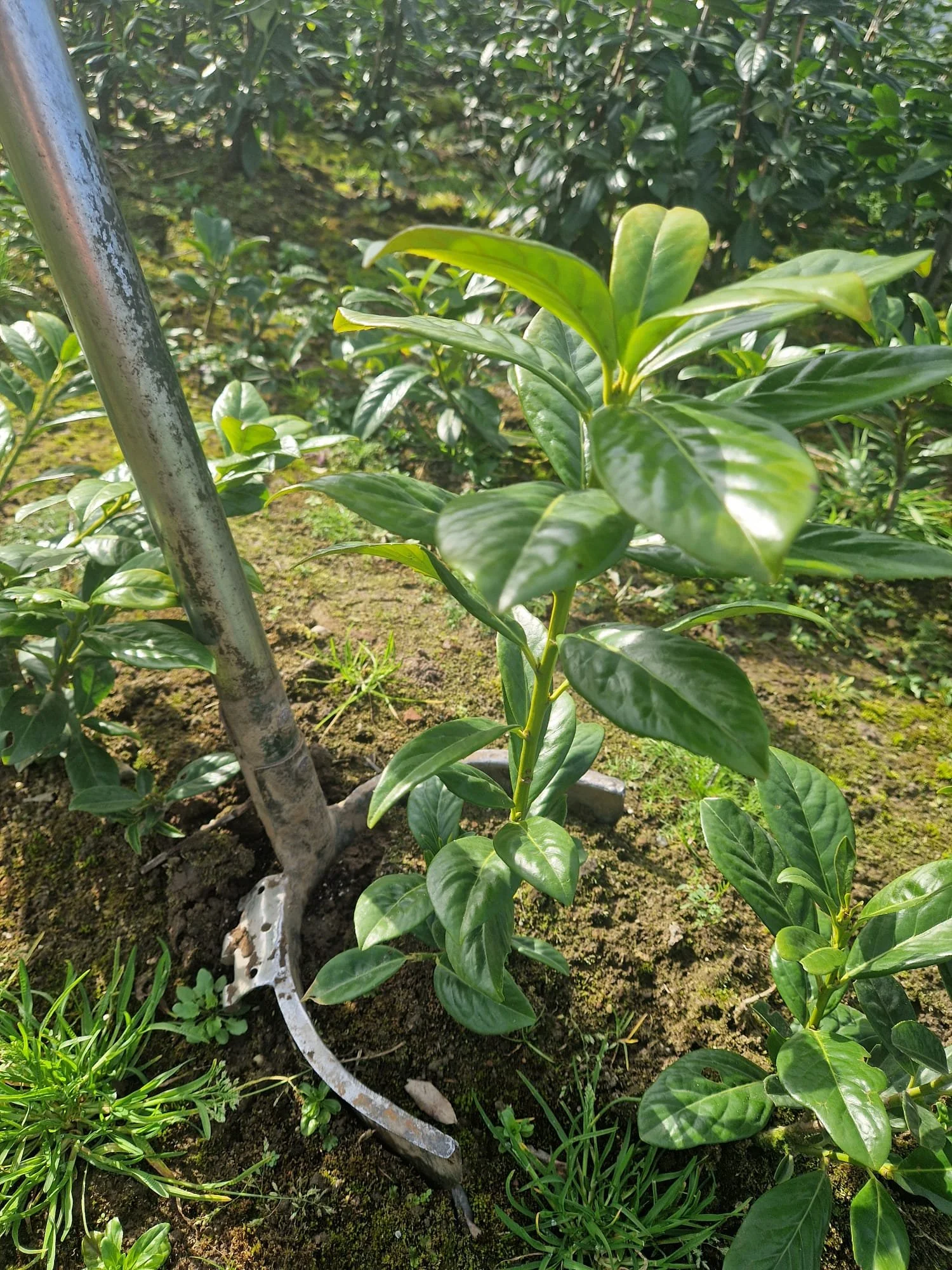 foto 2 fotogallerij.jpeg