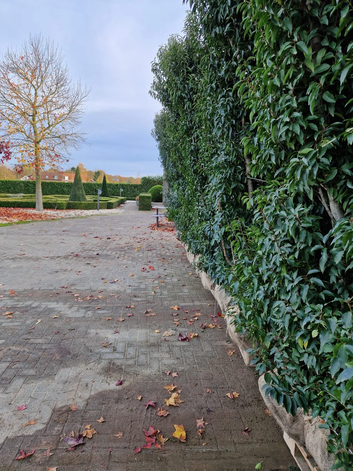 foto 11 fotogallerij.jpeg