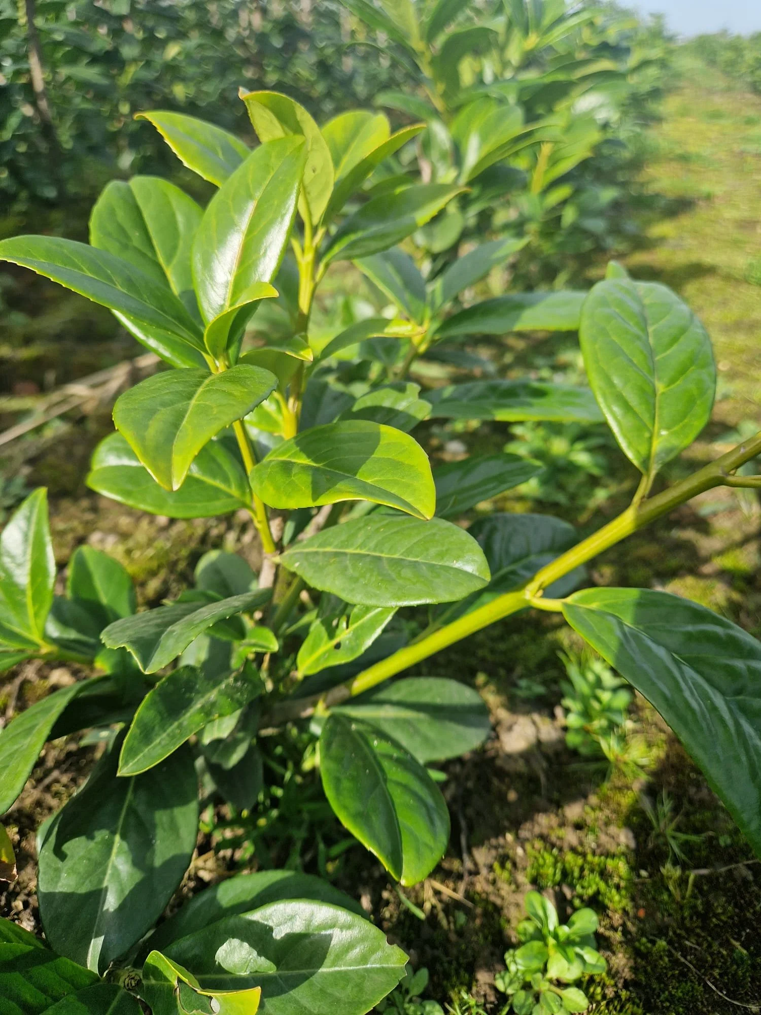 foto 1 fotogallerij.jpeg