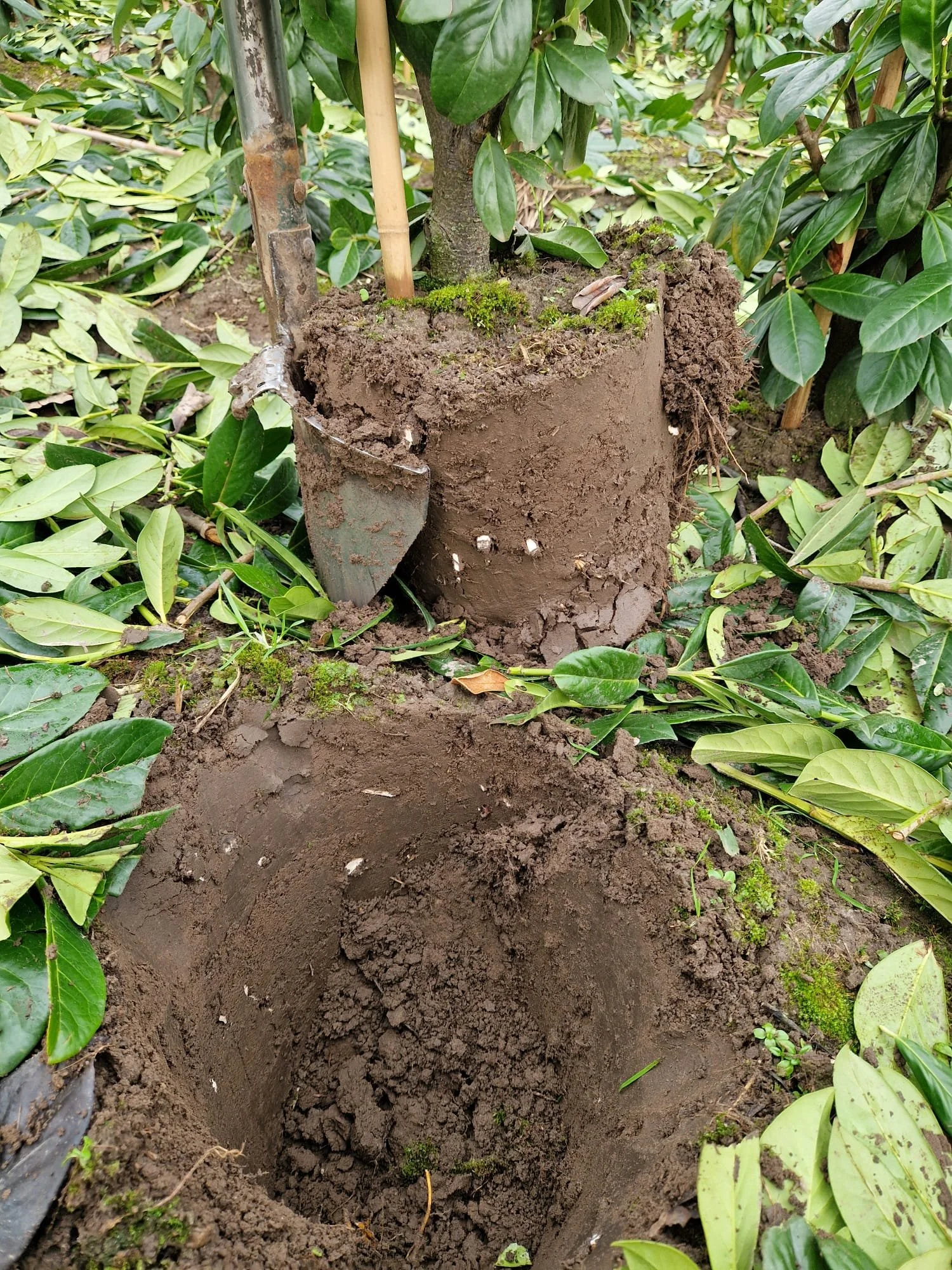 foto 4 fotogallerij.jpeg