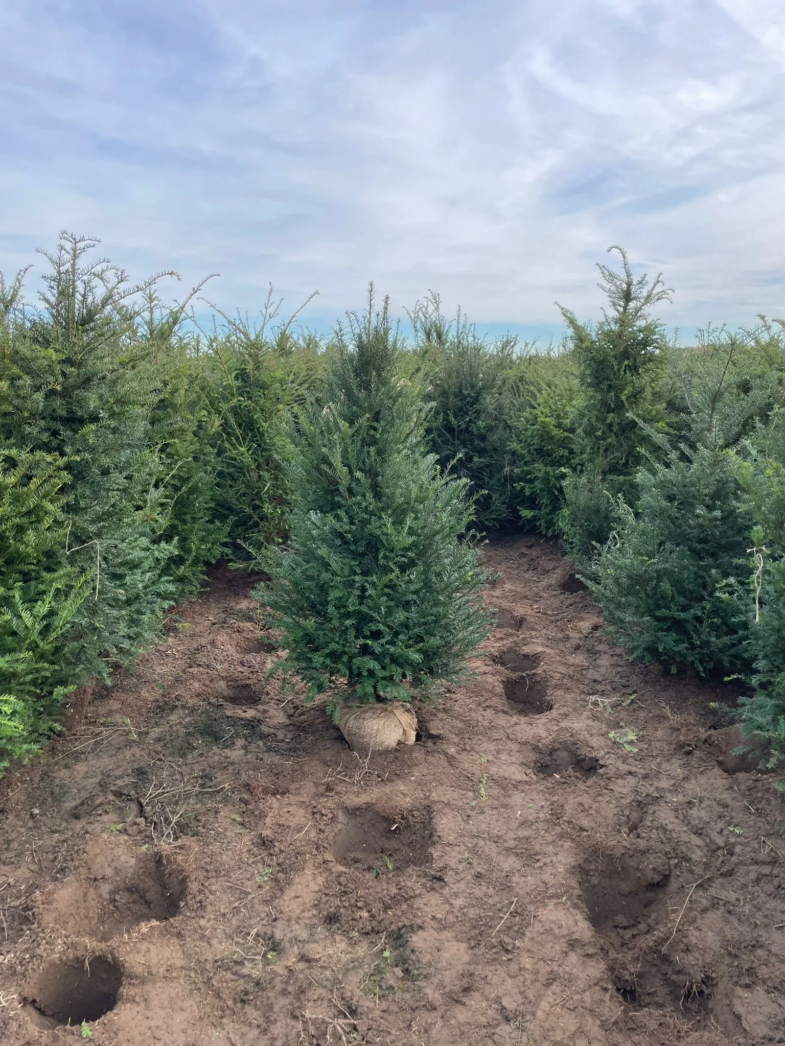 foto 10 fotogallerij.jpeg