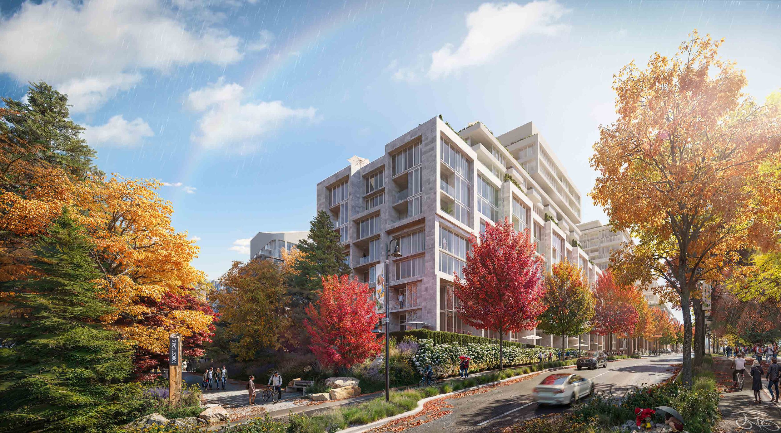 Hermiz Portfolio 20245555tttt.jpeg