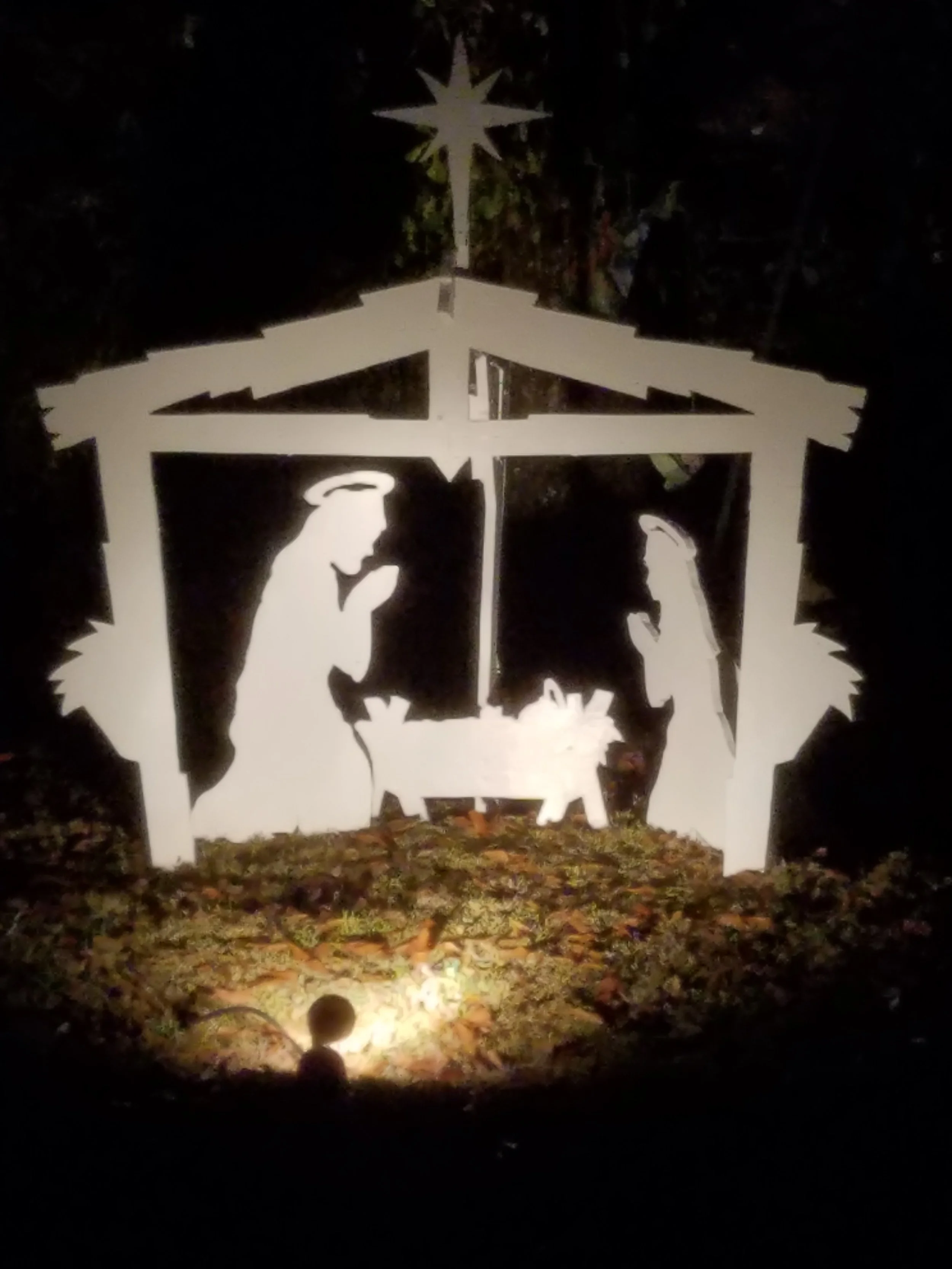nativity at night.jpg