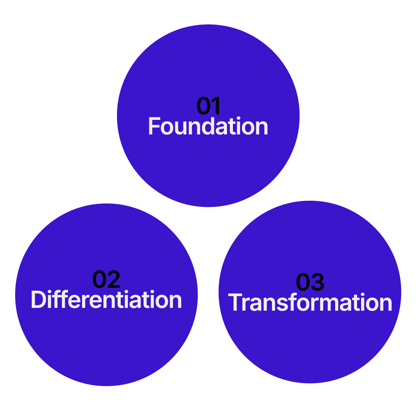 Diagram with three blue circles labeled '01 Foundation,' '02 Differentiation,' and '03 Transformation.'