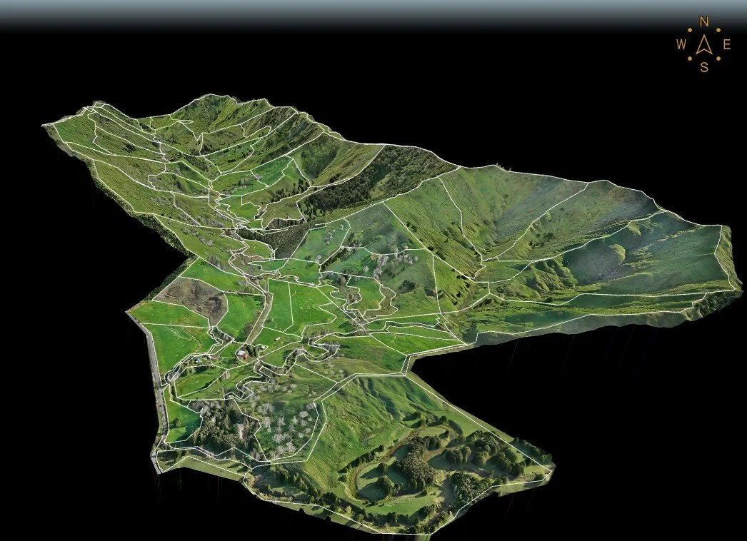 3D map view of a hilly, green landscape with divided fields and roads, marked with white boundary lines, and a compass in the top right corner.