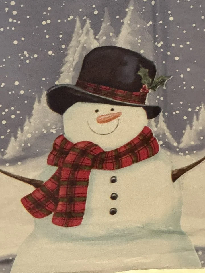 Snowman with a black top hat, orange carrot nose, smiling face, plaid red scarf, and stick arms, set against a snowy winter backdrop with snow-covered trees.