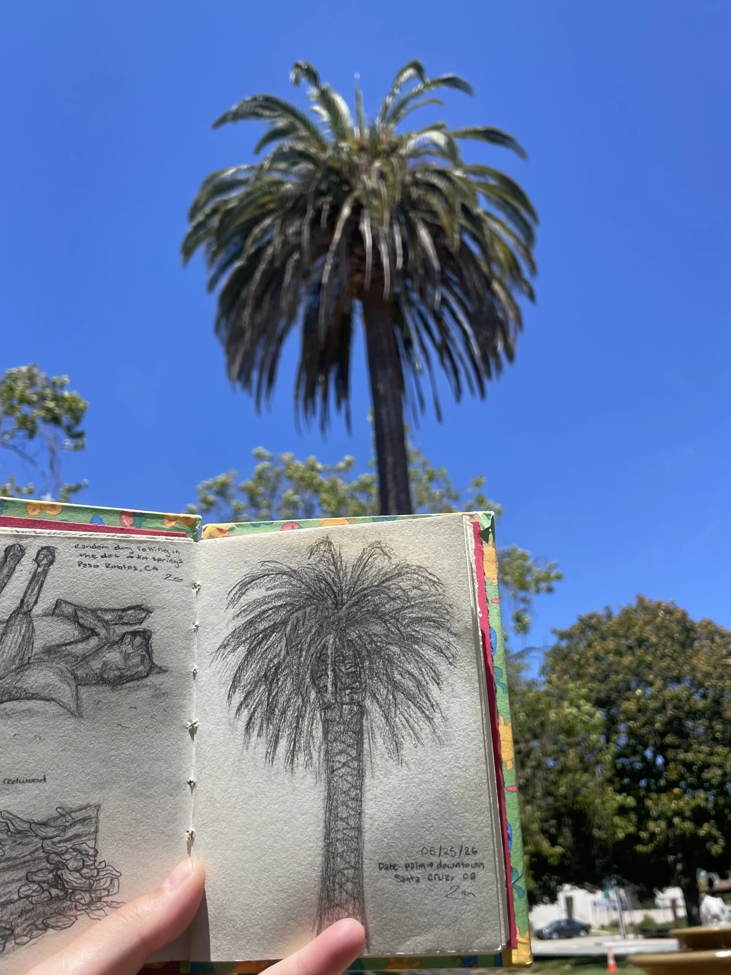 IMG_4333.jpeg