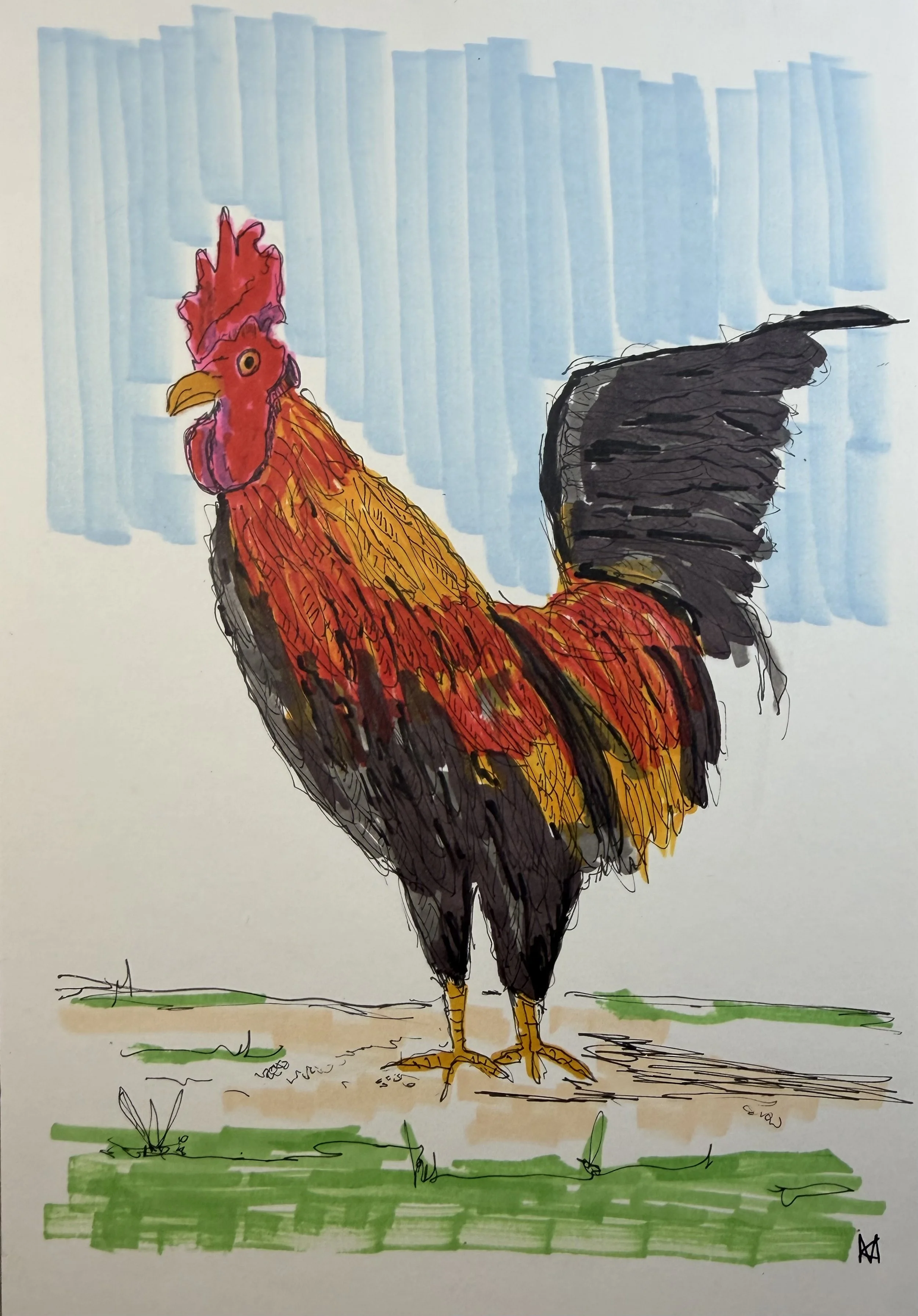 Rooster