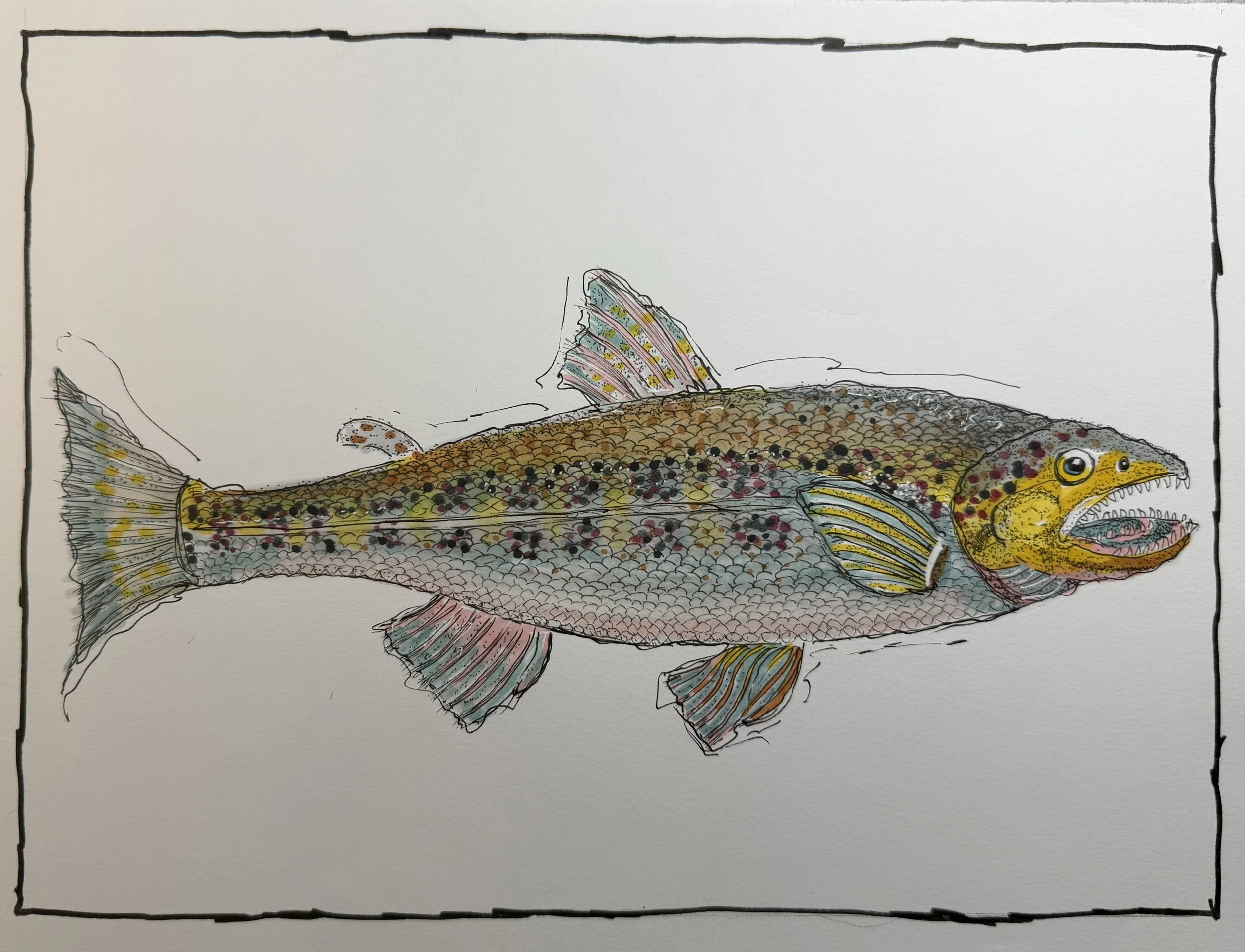 Muskie