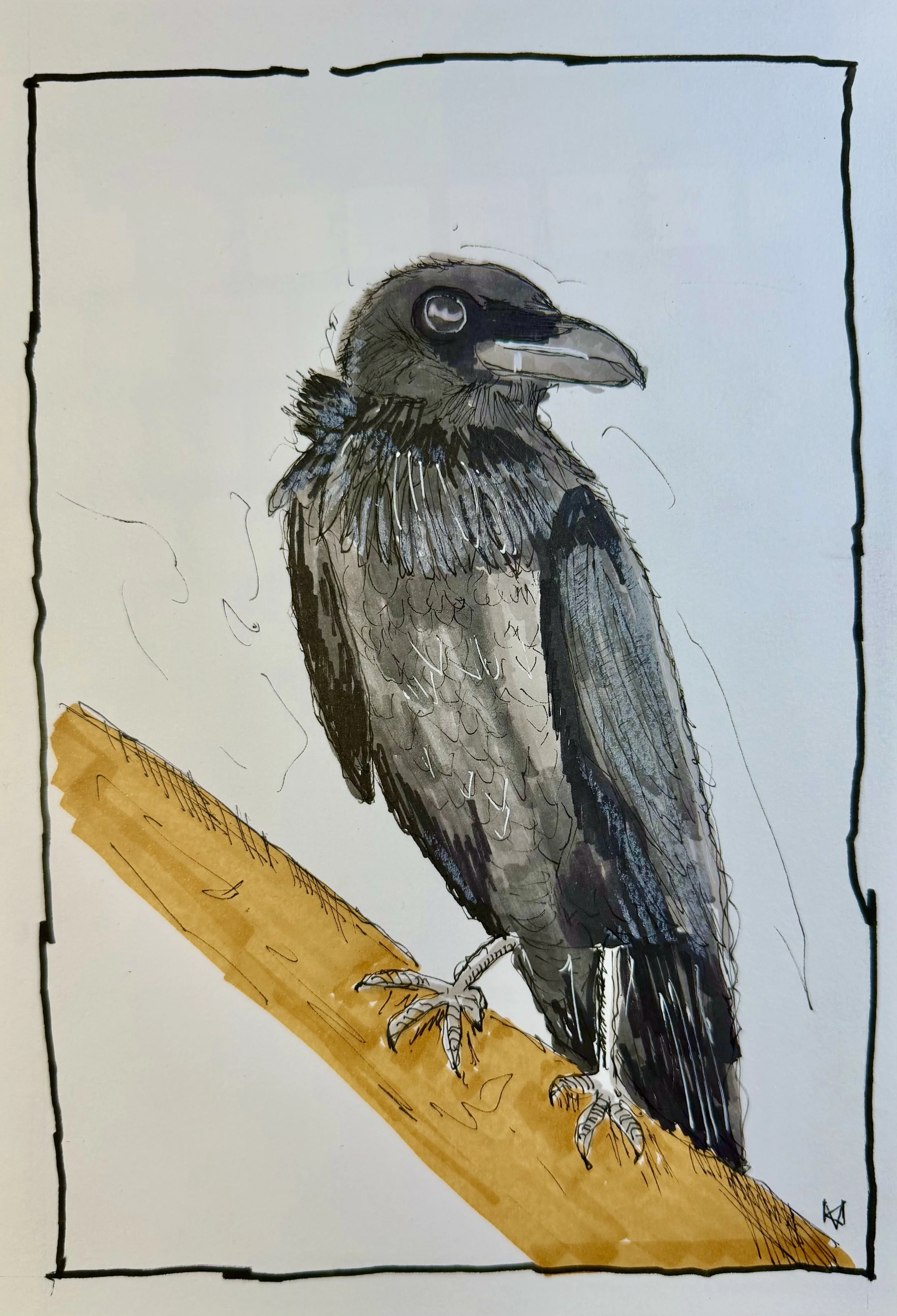 Crow