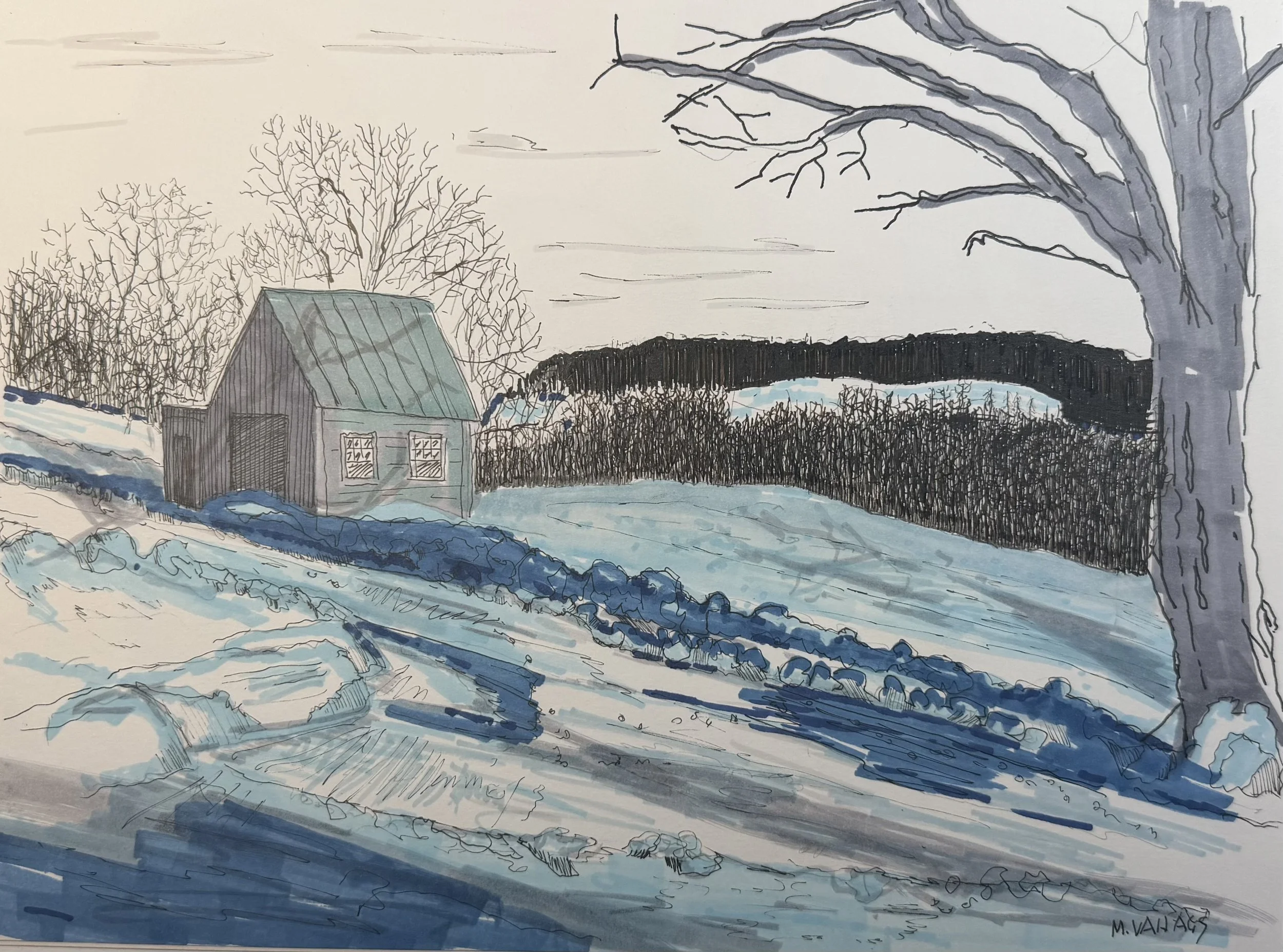 Cold Winter's day in Galway, NY