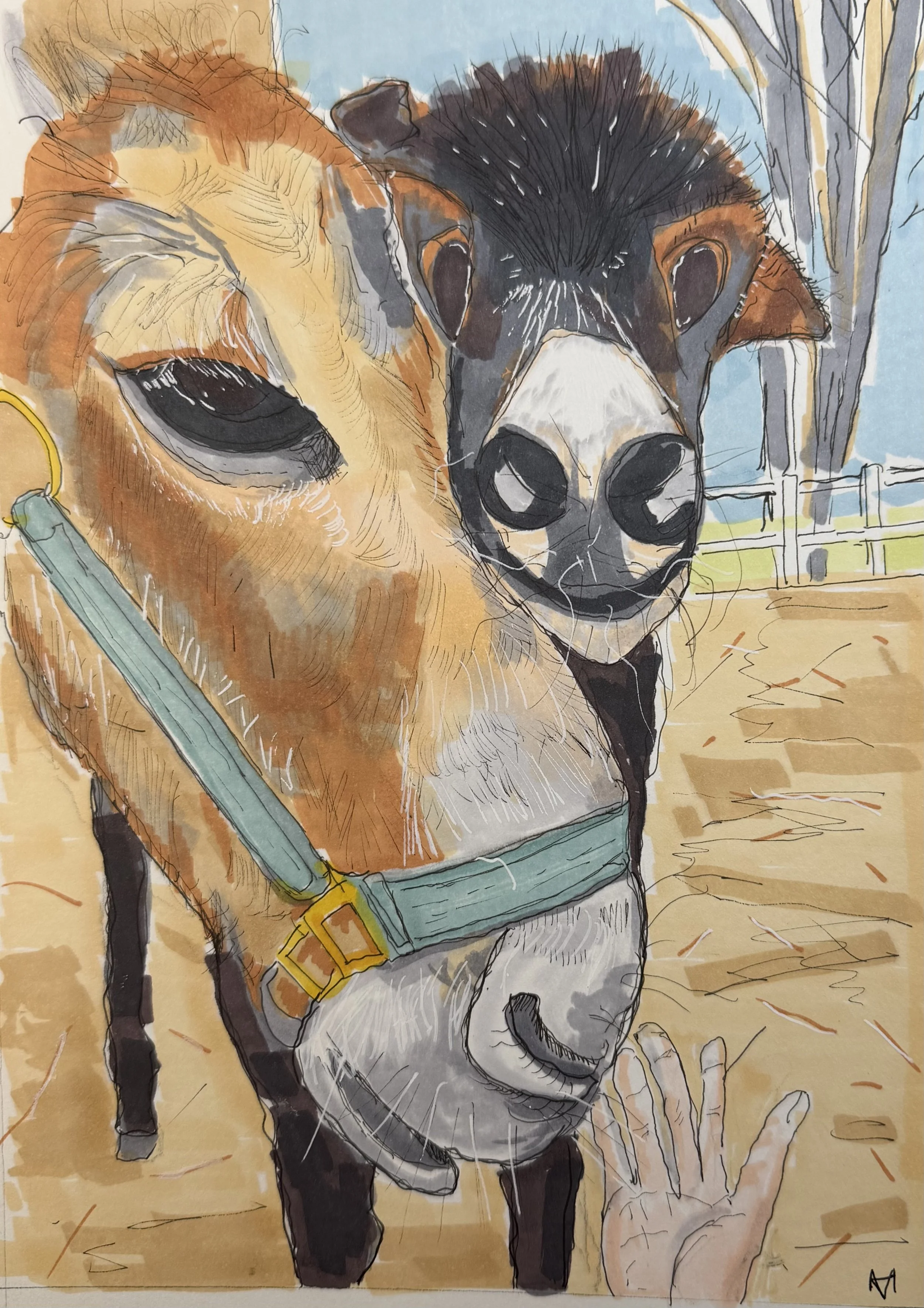 Mama Donkey and Baby