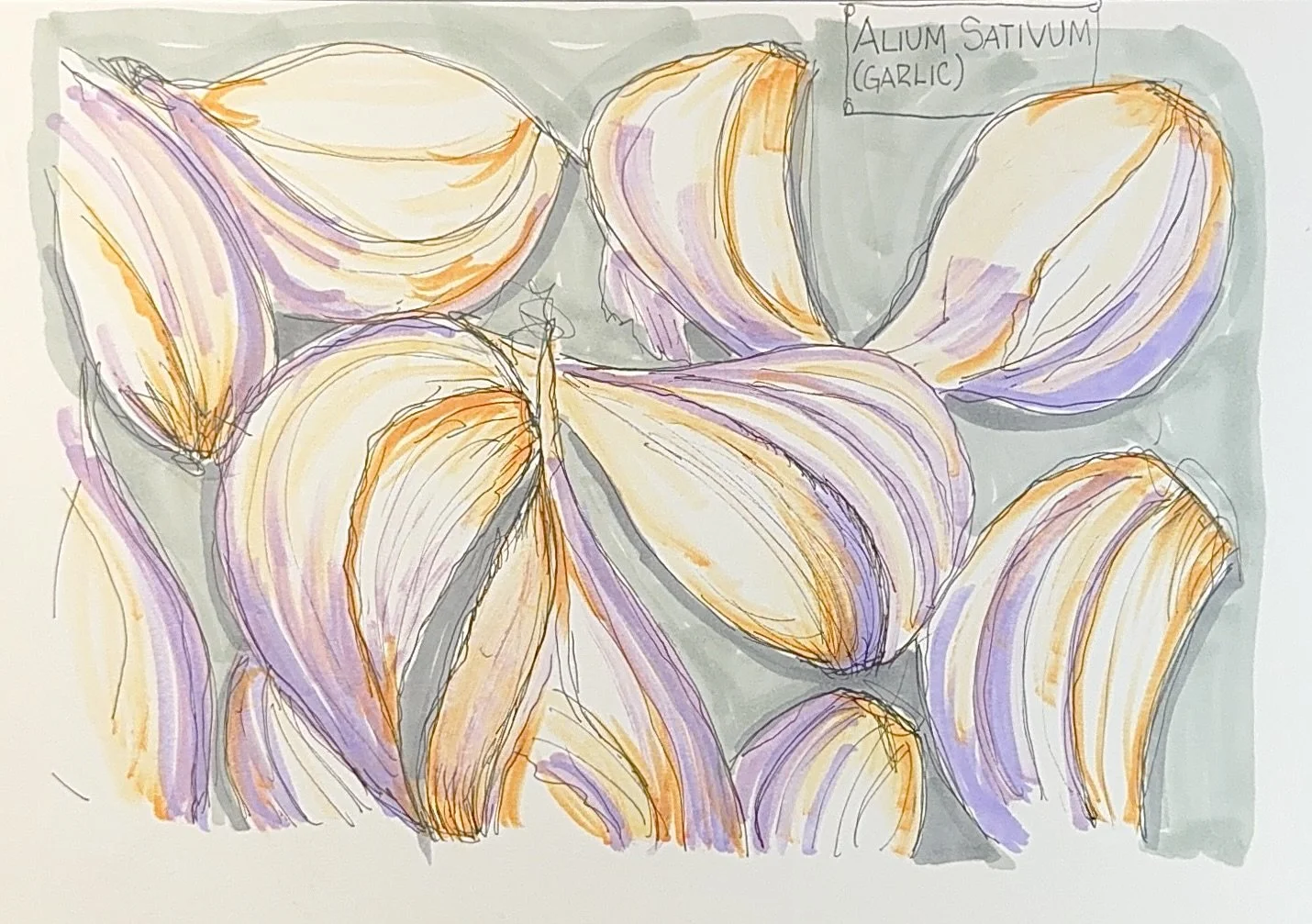 Garlic cloves