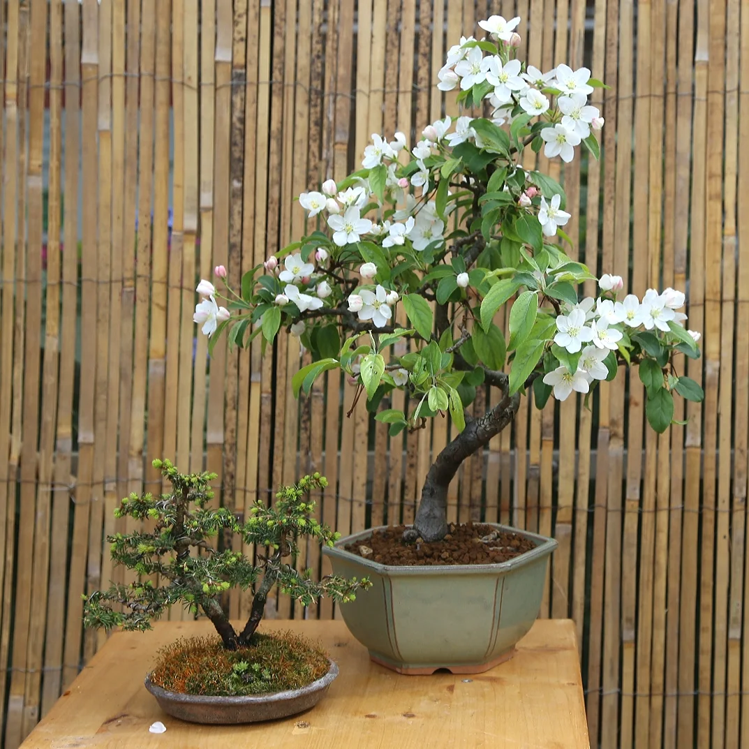 20190427_200943.jpg