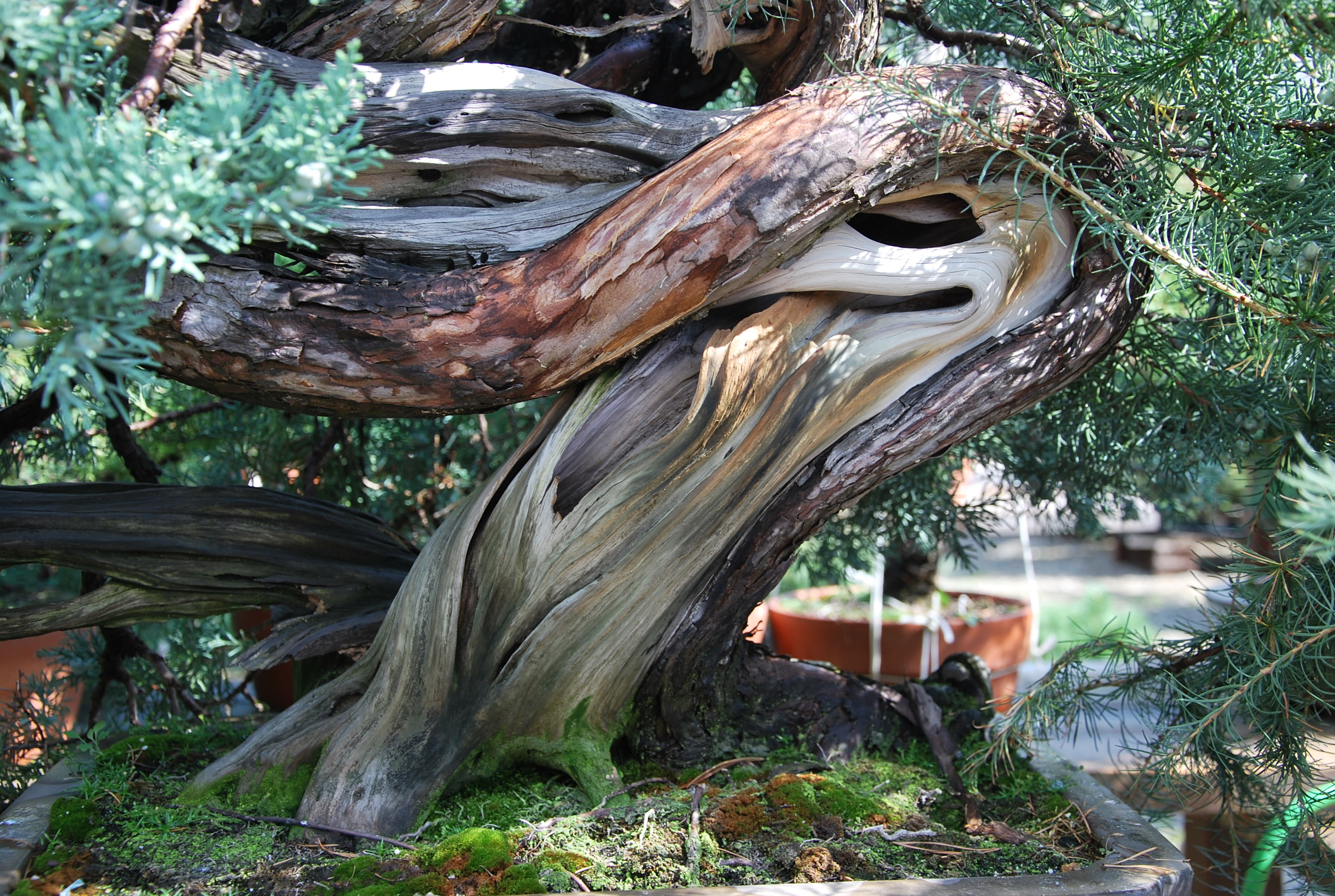 DSC_0032.JPG