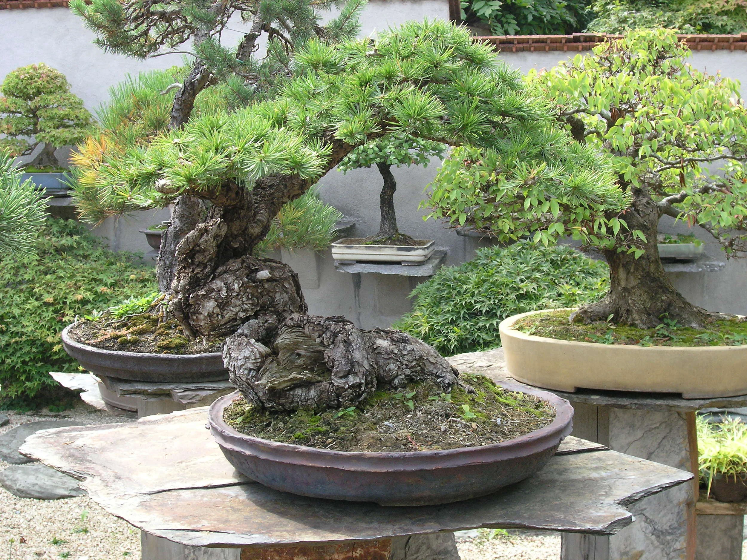P9160331.JPG