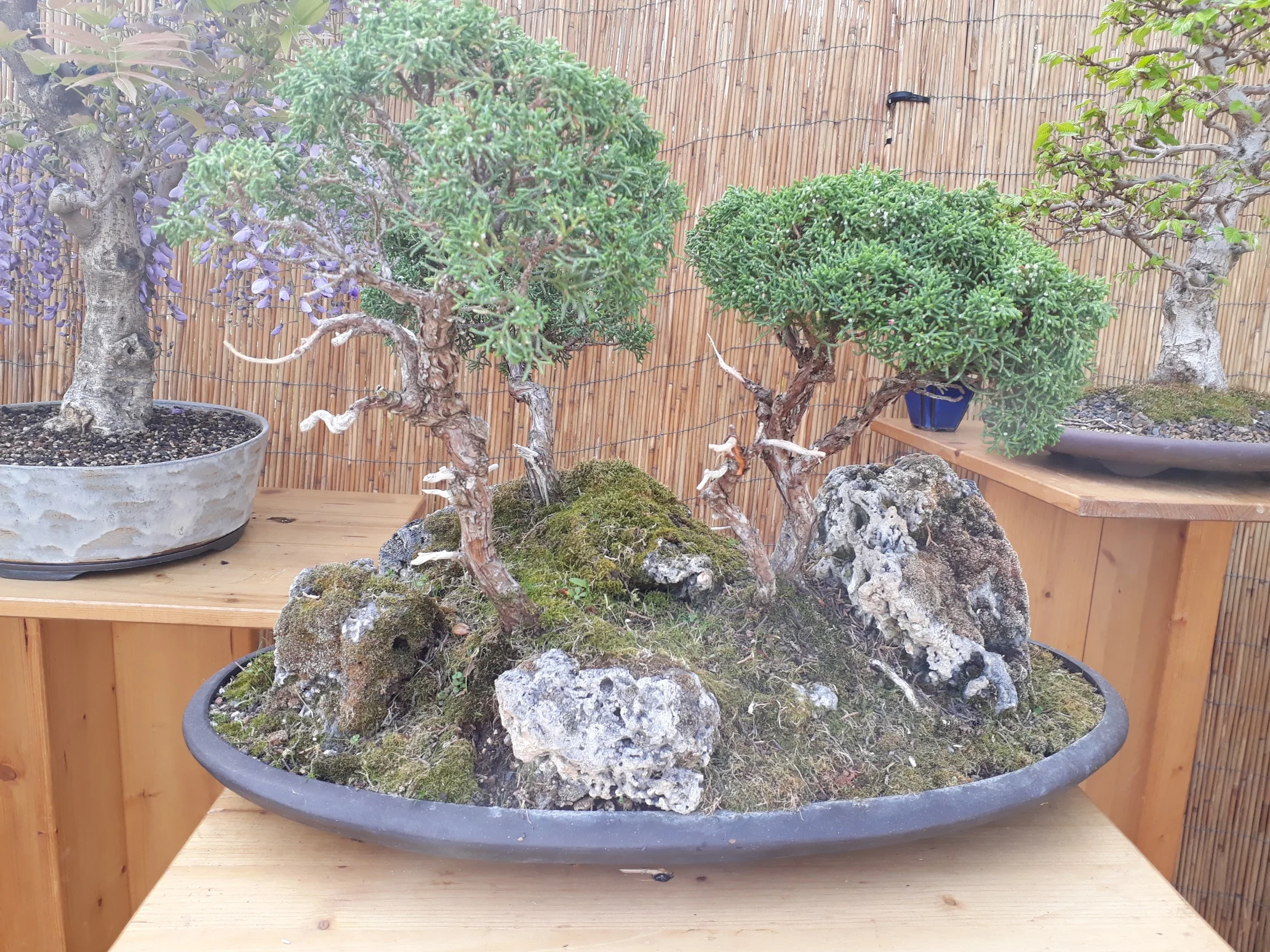 20180429_102335_resized.jpg