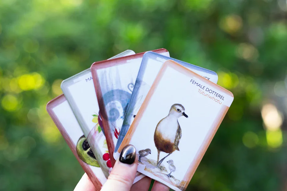 Sometimes you get to be part of a project that makes you grin from ear to ear! Coromandel artist and early childhood educator Cheryl Sands approached Phoenix Design to discuss a BEAUTIFUL idea that combines conservation and learning with a fun, compe