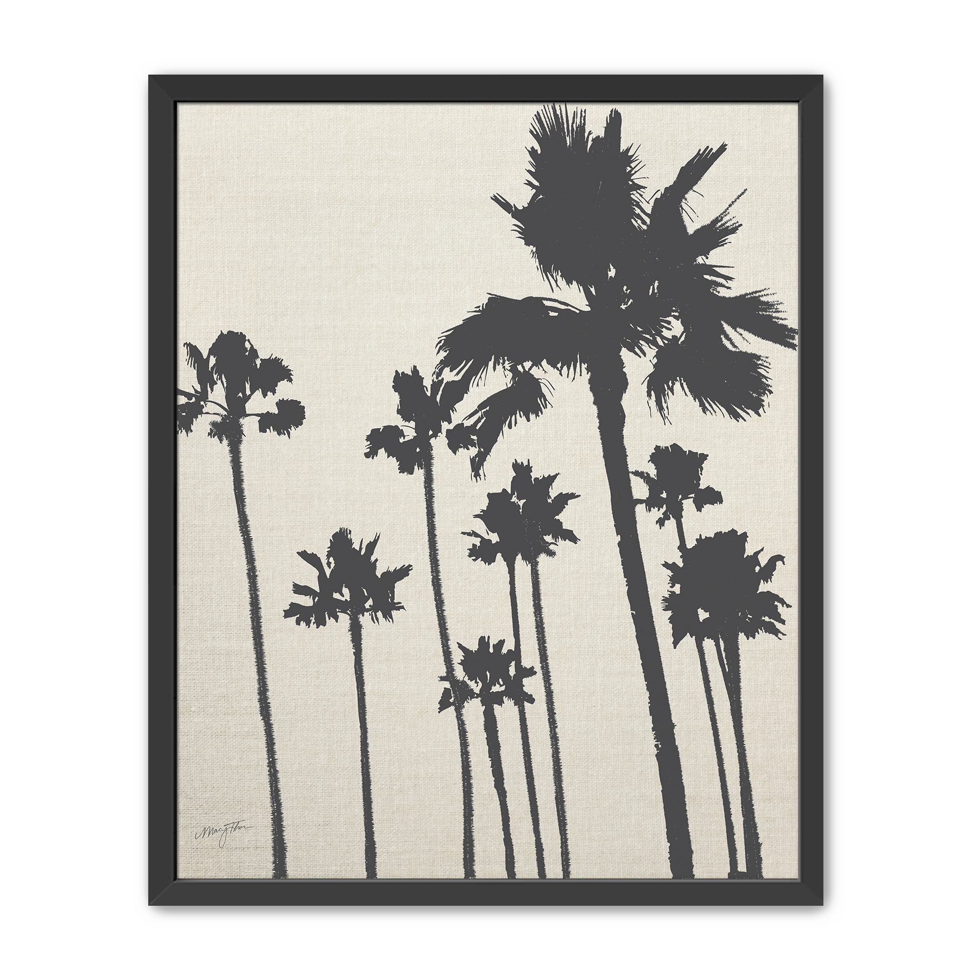 Palms | Slate | California Coastal