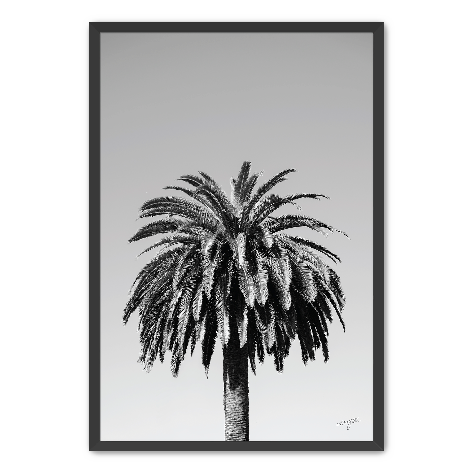 Salt Air