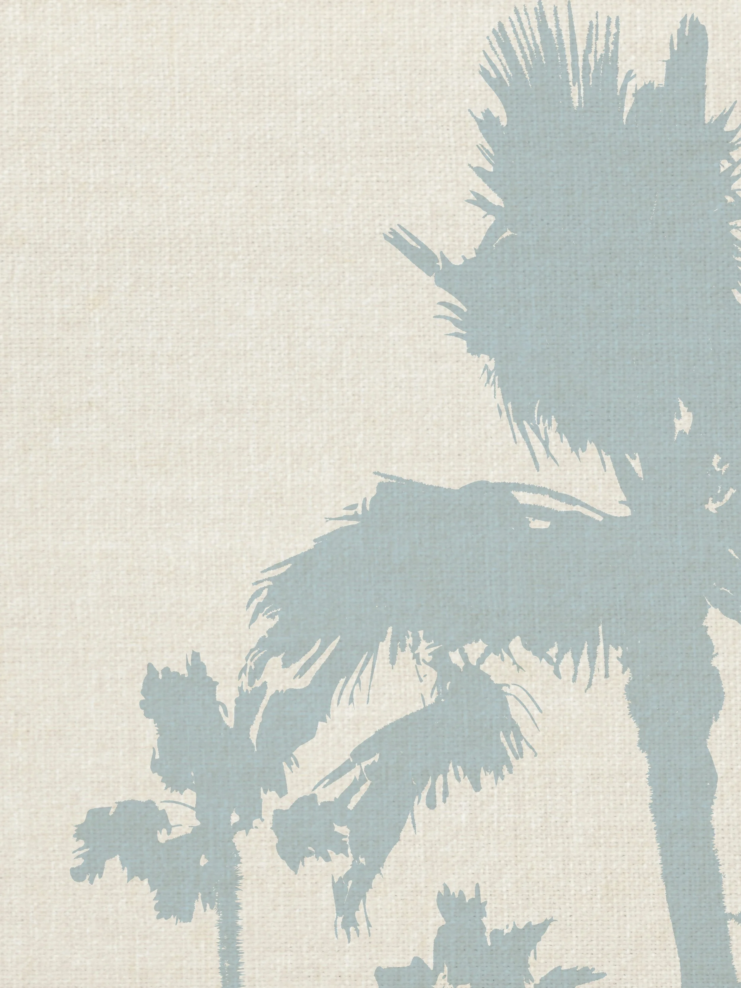 California Coastal Collection-40.jpg