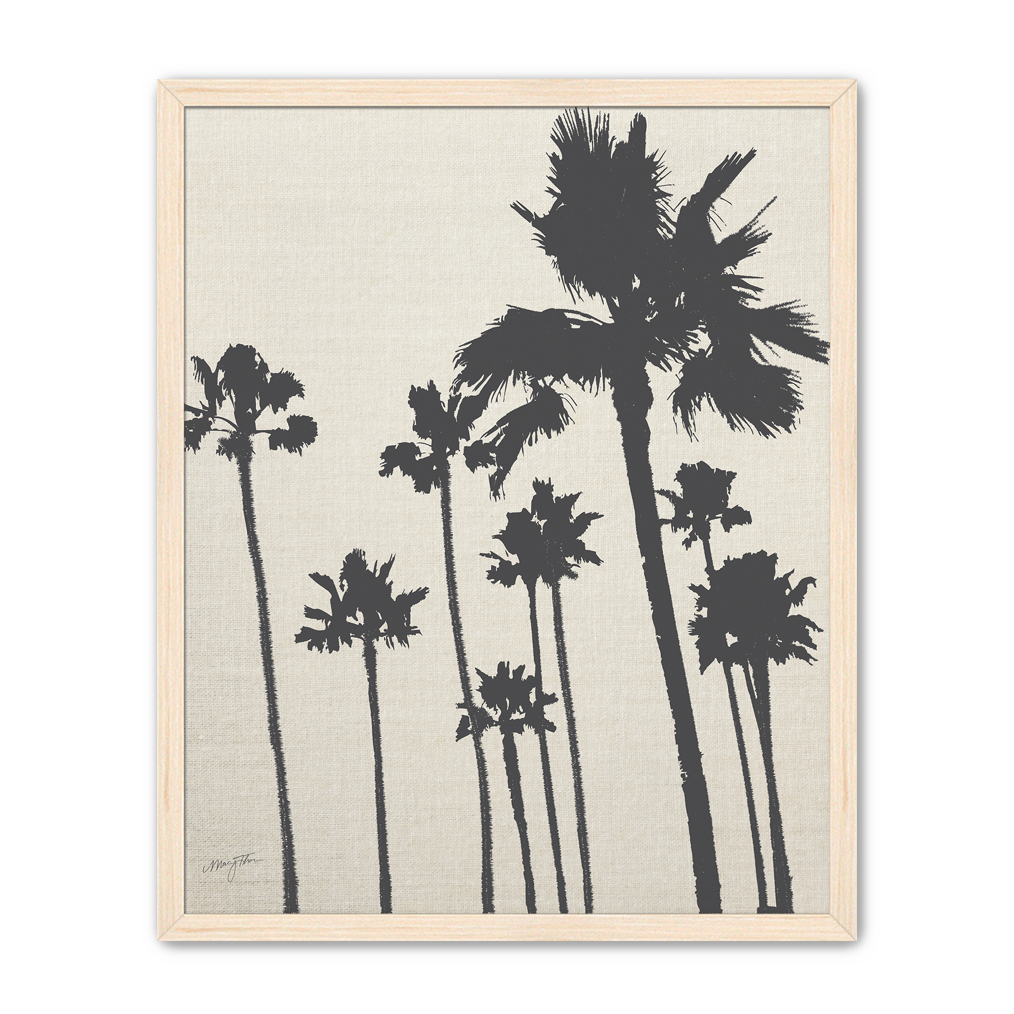 Palms - B - T.png