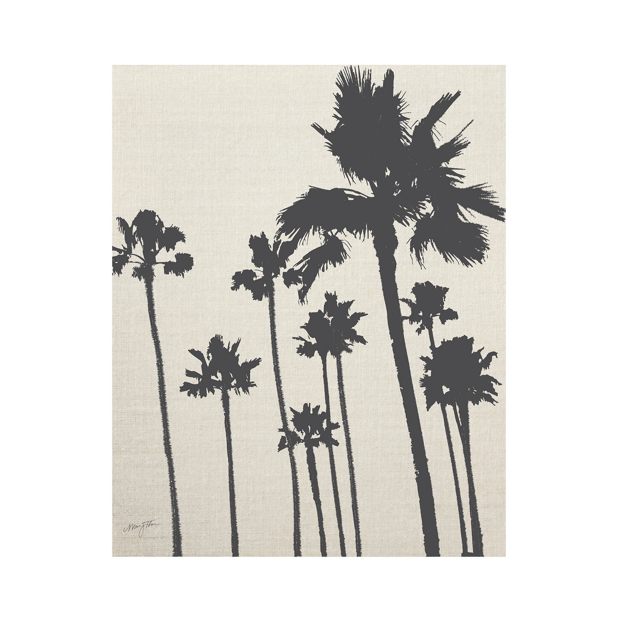 Palms - B - PO.png