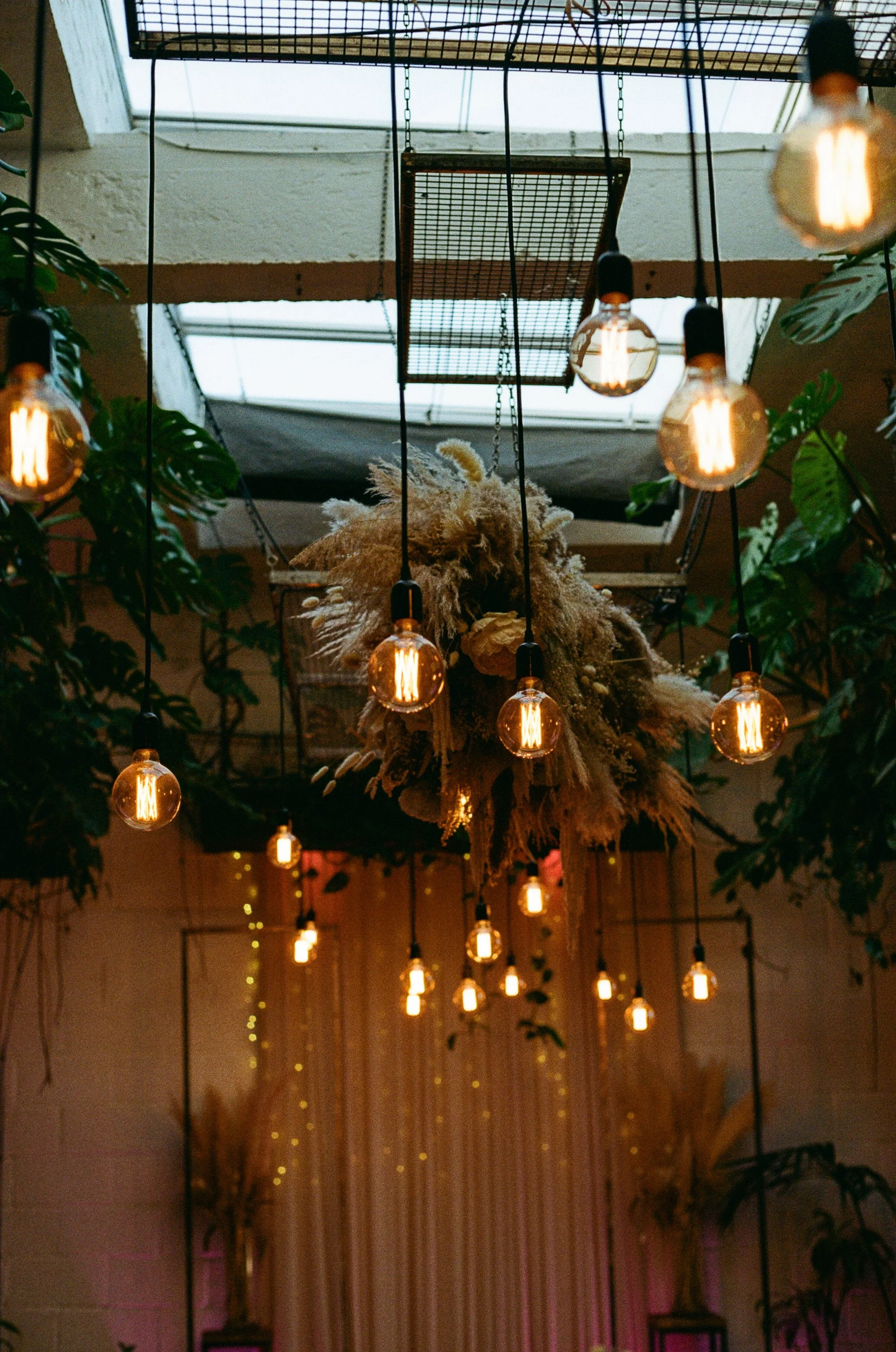 A ceiling with hanging Edison-style light bulbs, some plants, and a decorative dried floral arrangement in the center. there is a skylight above and a curtain with small string lights in the background.