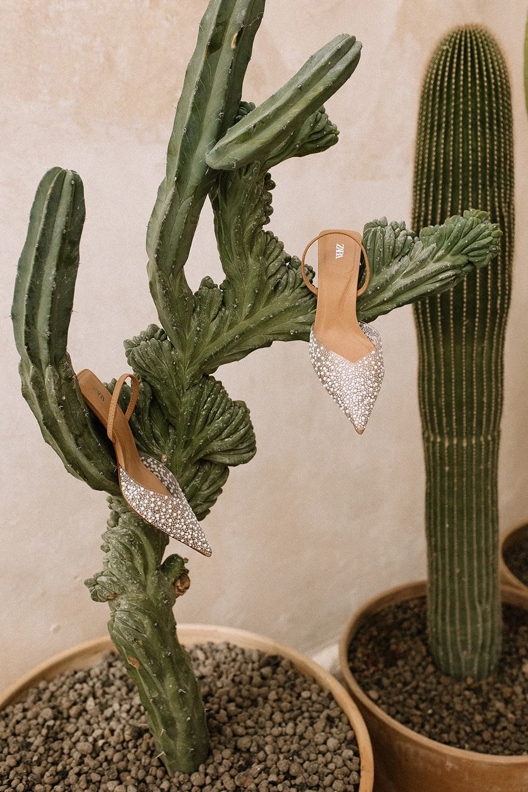 Pair of women's high-heeled shoes decorated with pearls, hanging on a cactus plant in a pot.