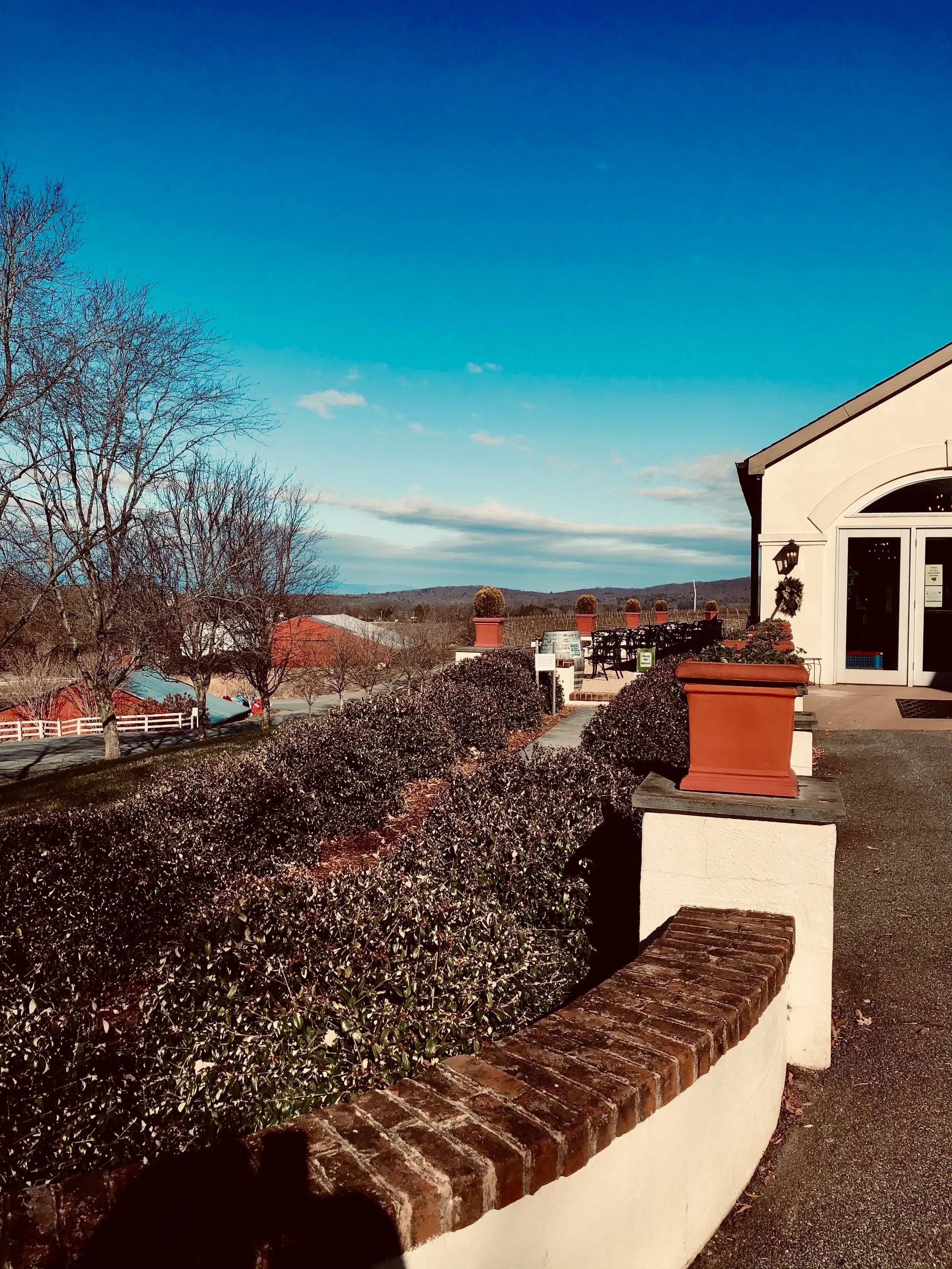 The Heart of the Heartland: Bridging the Rural Care Gap with Telehealth