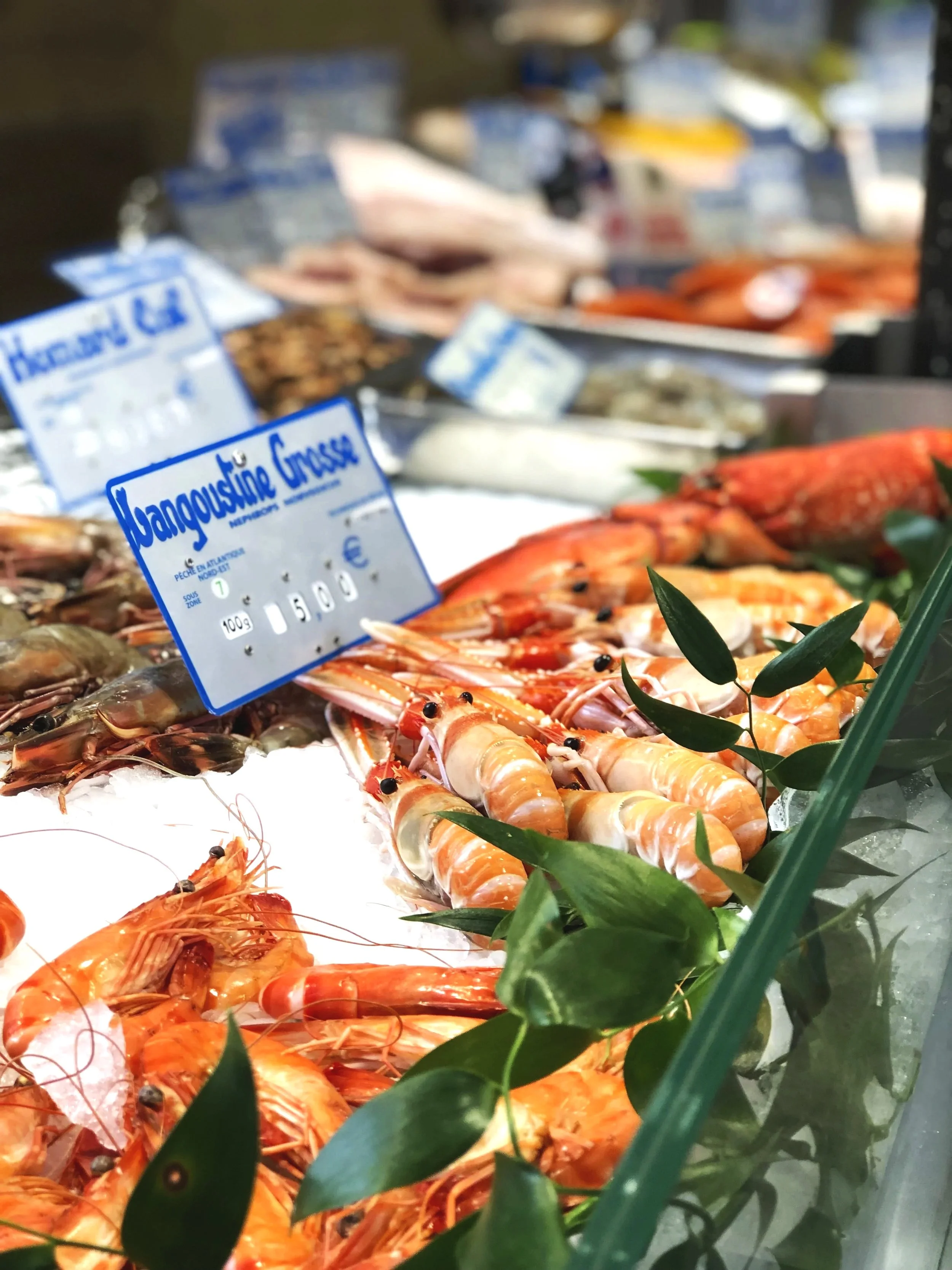 Beyond the Catch: Navigating SDOH and Cultural Nuance in Clinical Nutrition