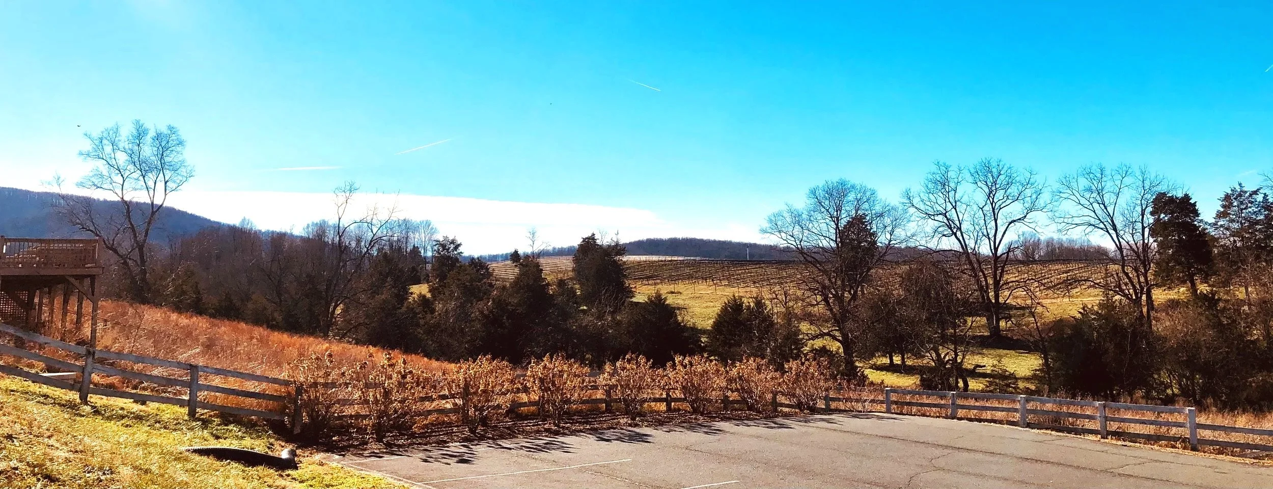 The Digital Heartbeat: How RPM is Reclaiming Rural Health in Virginia