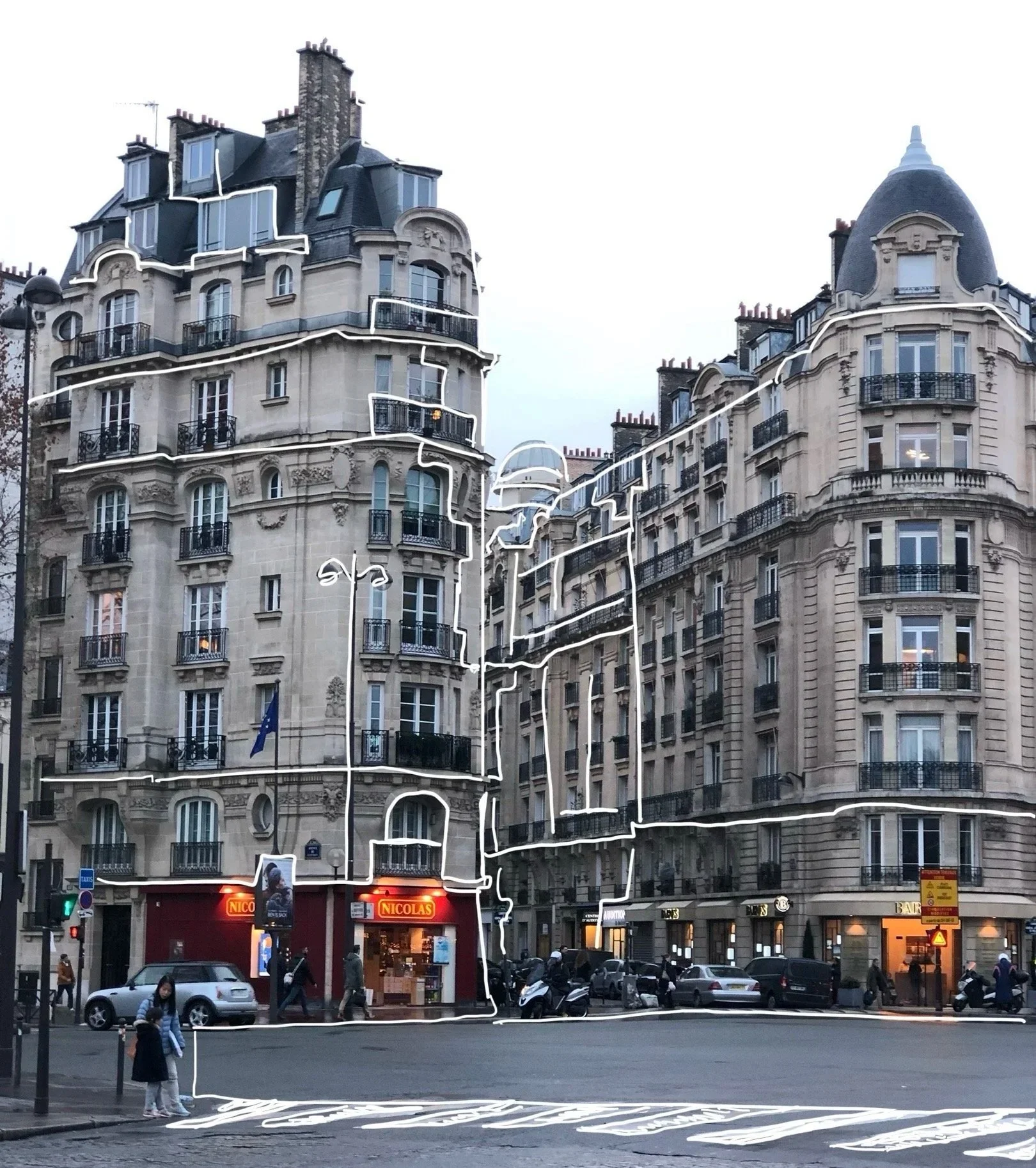 From Vascular Networks to Urban Infrastructure: Lines Connect Us