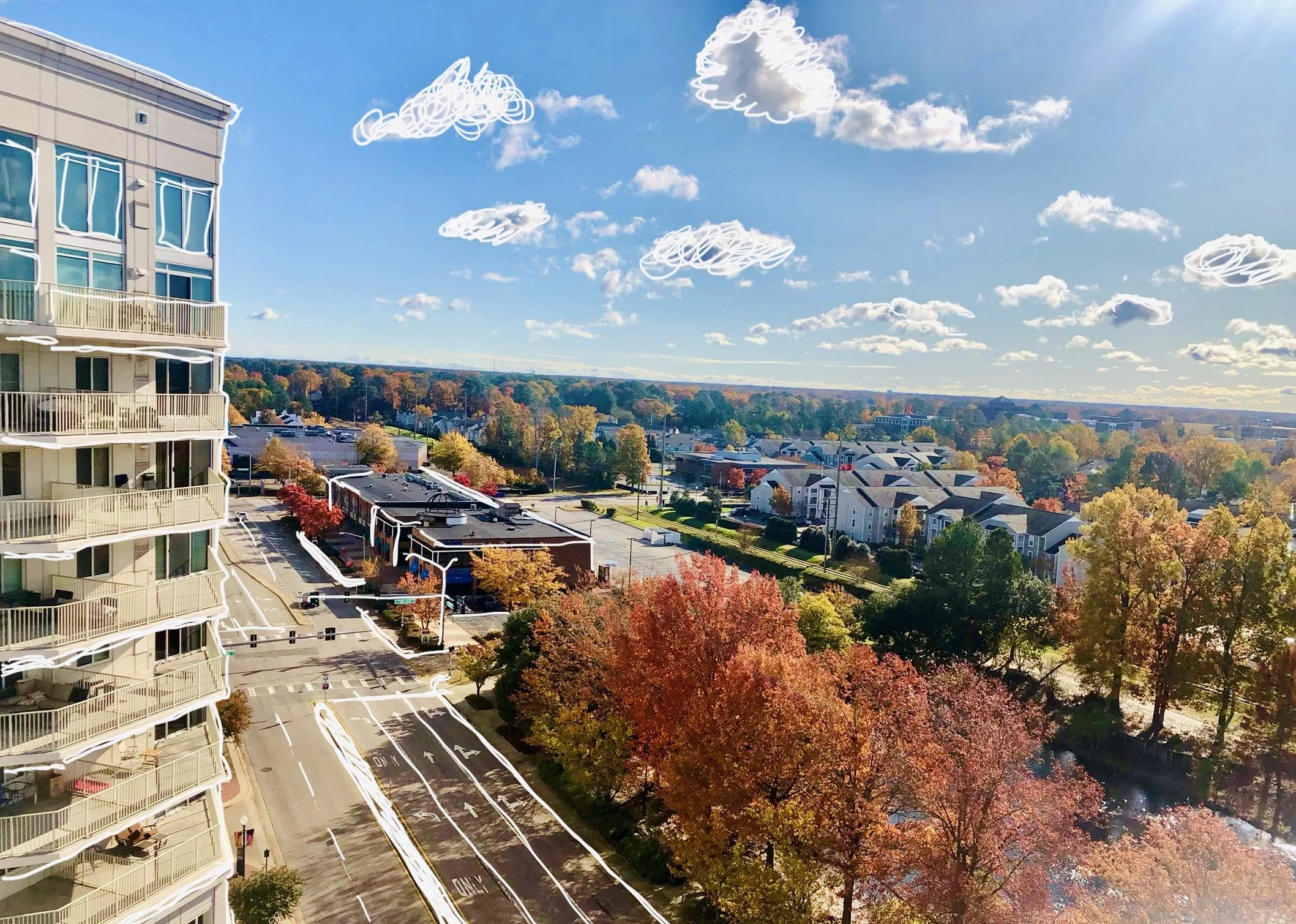 Deadly Design: Suburbia and the Social Determinants of Health 