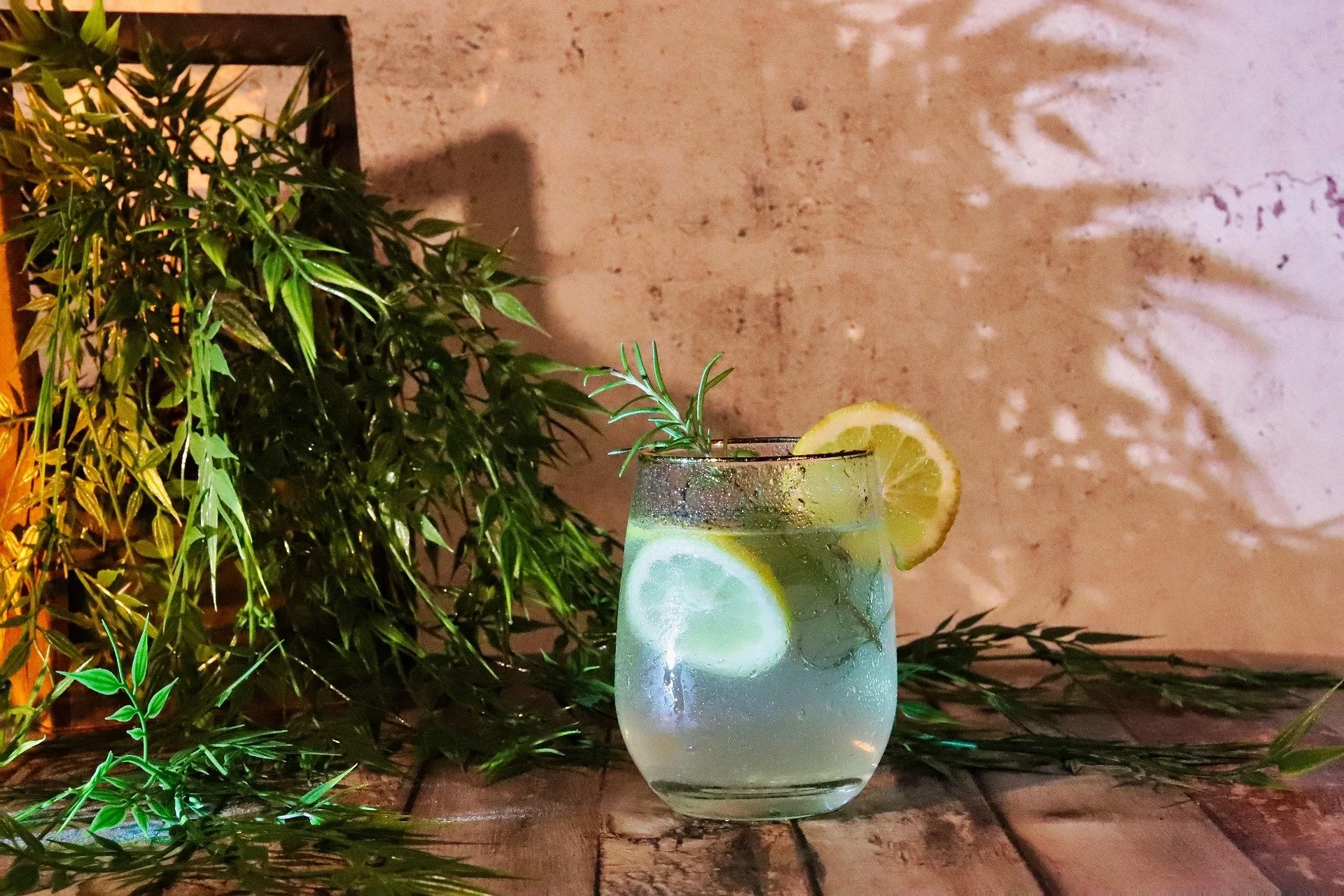 A glass of lemon and cucumber infused water garnished with a sprig of rosemary on an exposed wood surface against a rustic wall with greenery.