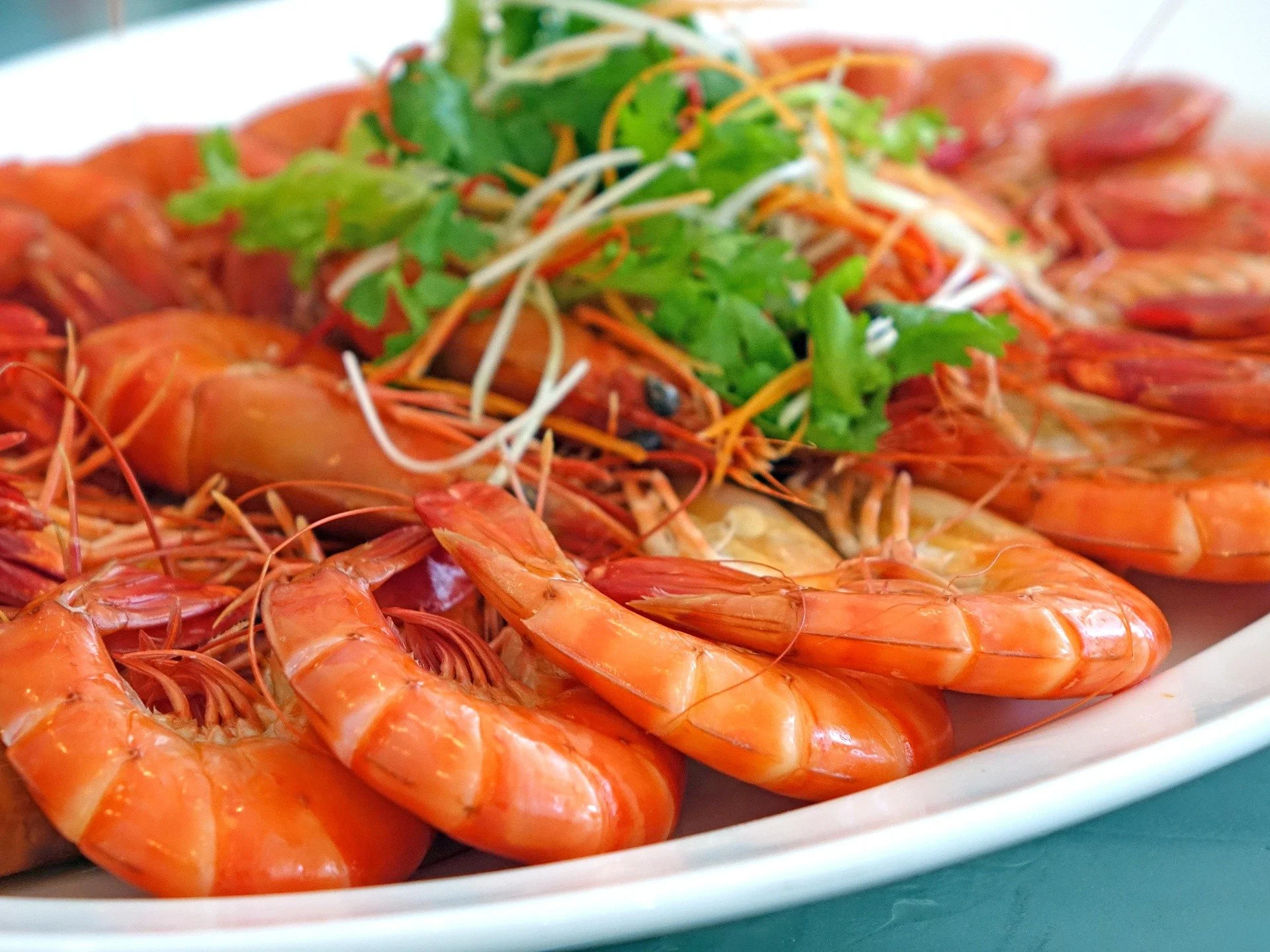 A seafood platter featuring cooked shrimp garnished with fresh cilantro and microgreens on a white plate.