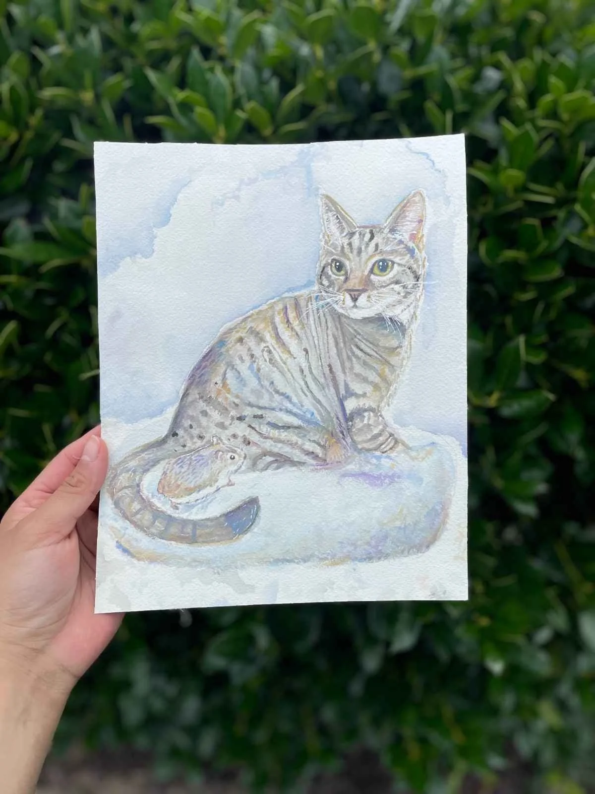 Watercolor Pet Portrait