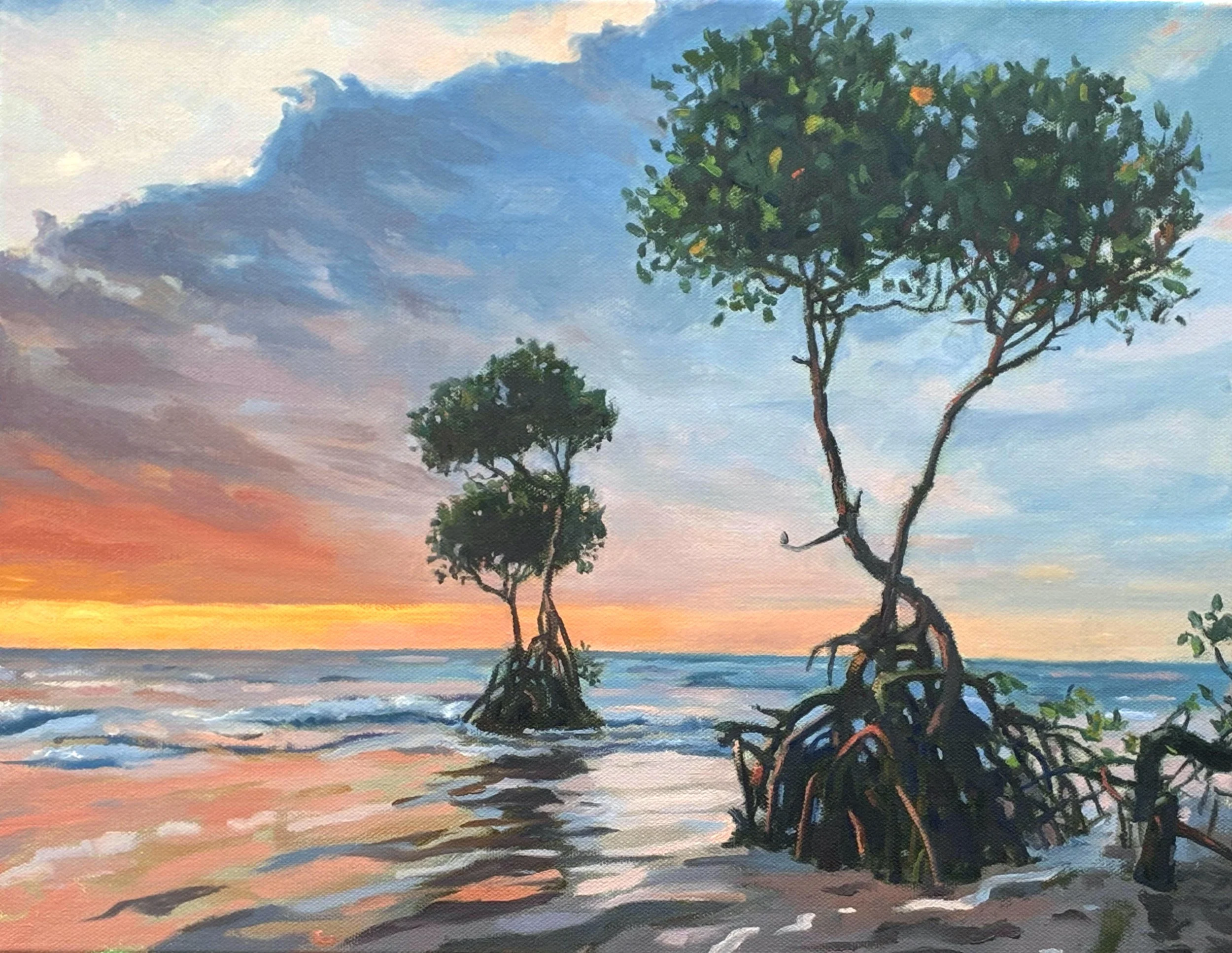 "Mangroves at Sunset", oil on canvas, 14" x 18" 2026.