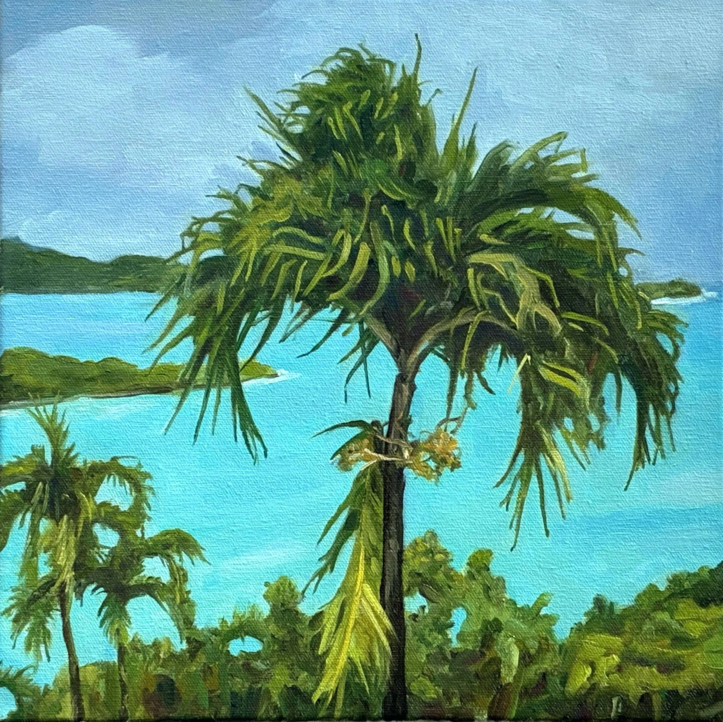 "A Soft Day", oil on canvas, 12" x 12" 2026.