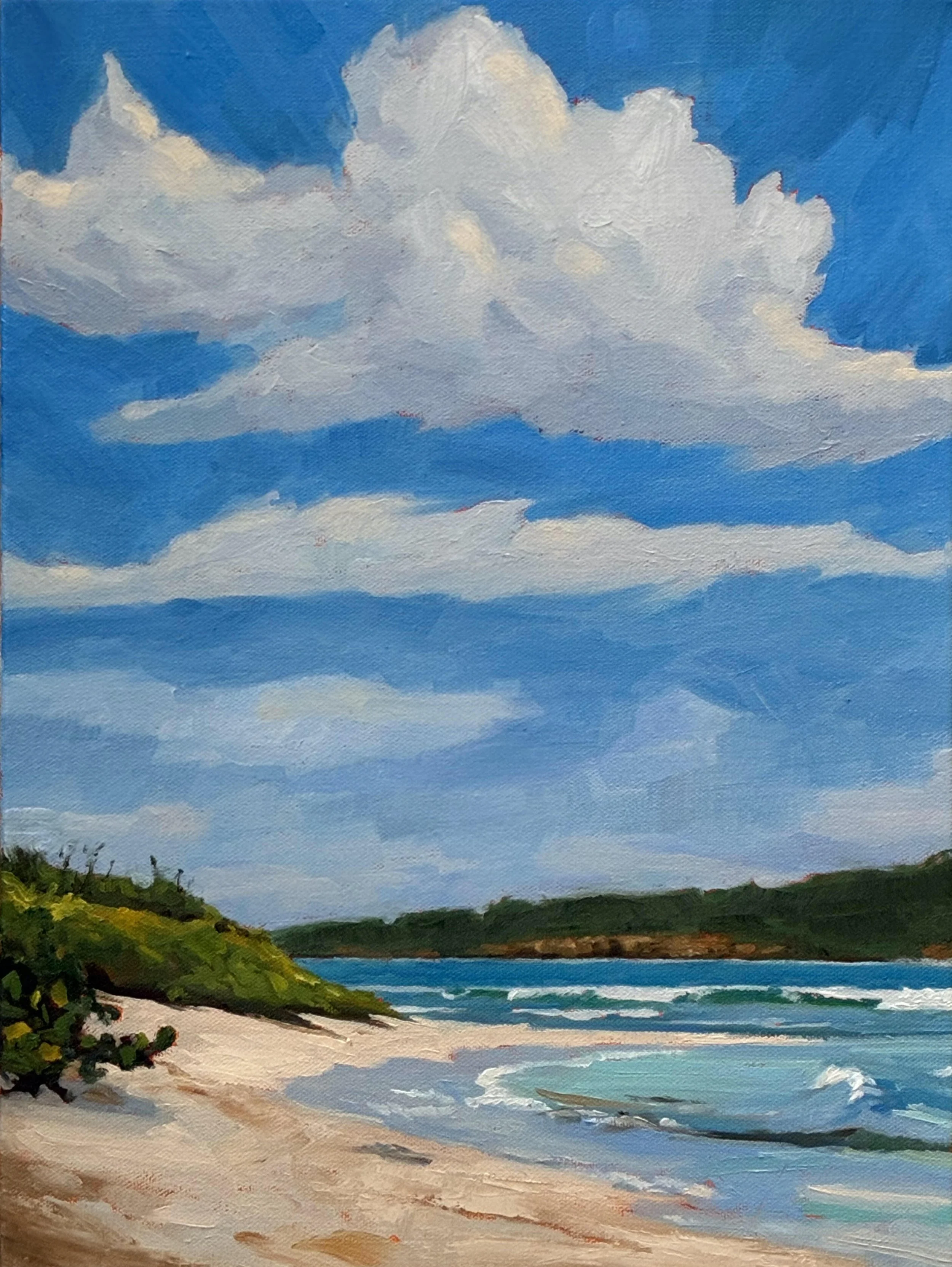 beach scene with clouds.jpg