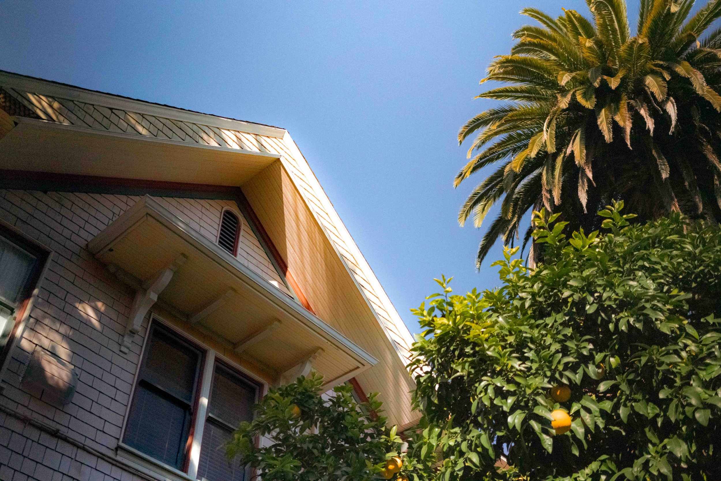 Gabled roof of a house with beige siding next to a palm tree and an orange tree under a clear blue sky.