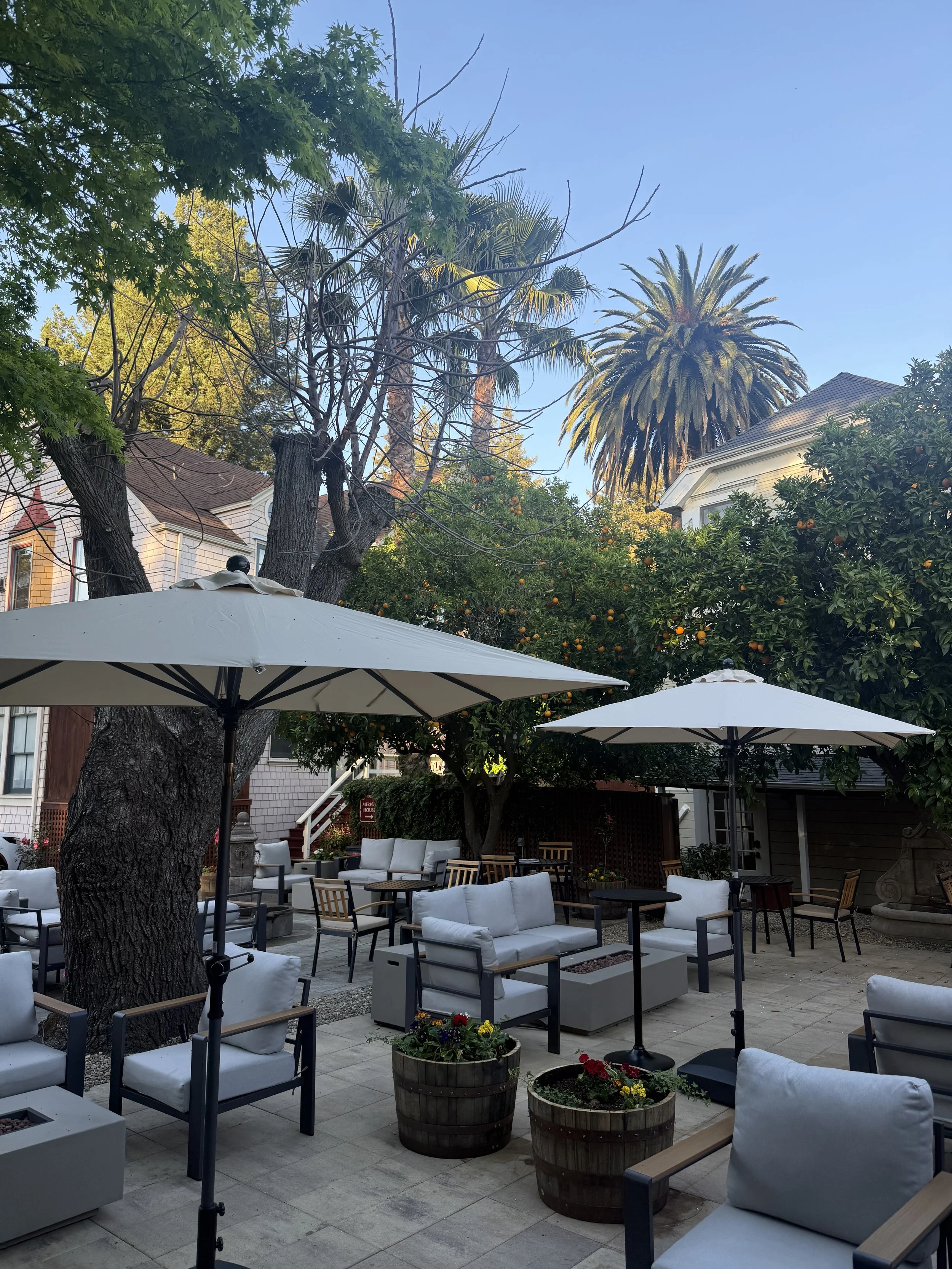 the-charles-napa-valley-courtyard-umbrellas-dusk.jpeg