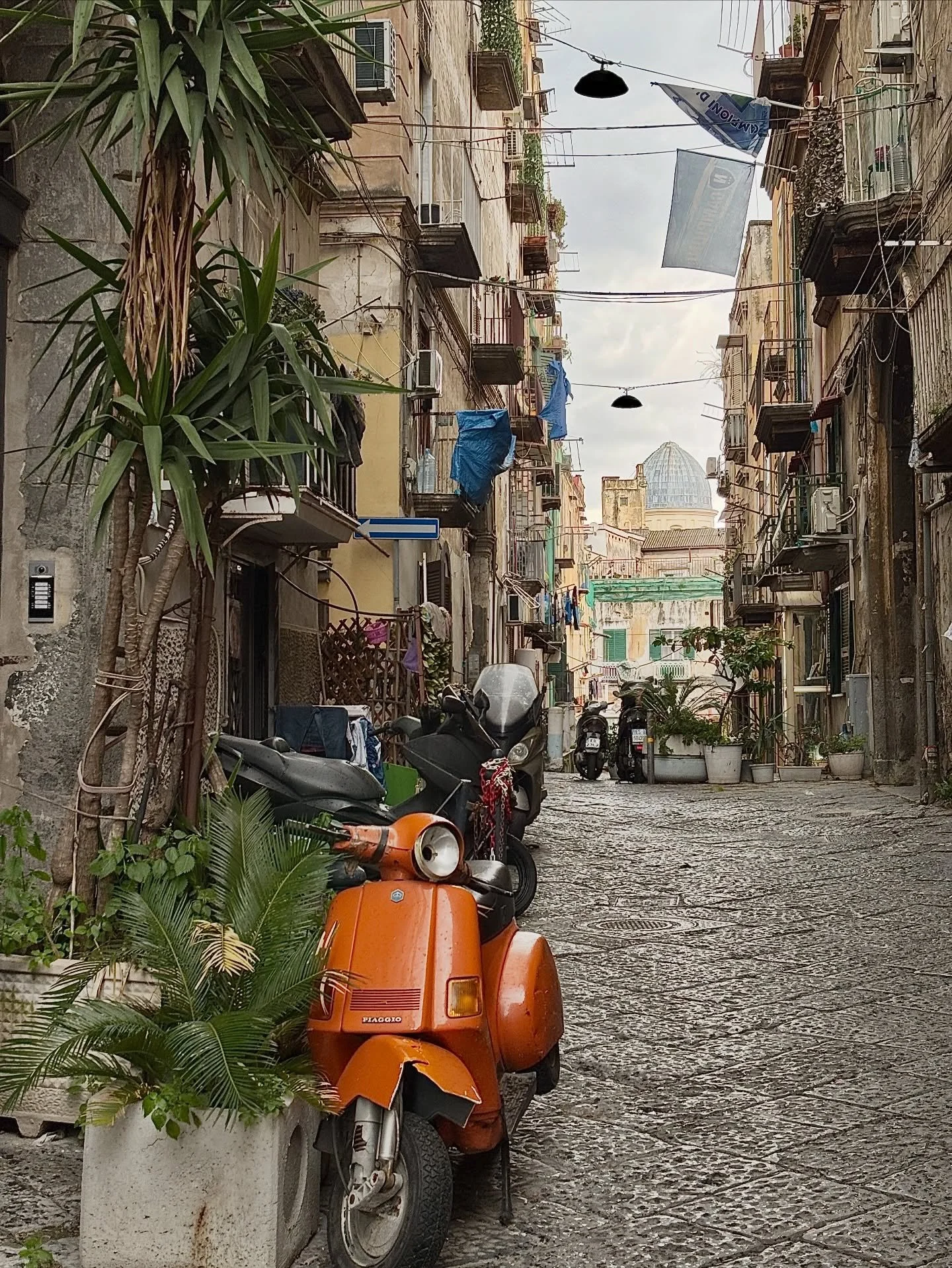 Semplicemente Napoli 😍
📸 @alisawein
👉🏻 #cityofnaples_it
~
#napoli #naples #siituristadellatuacitt&agrave; #esserenapoletano&egrave;meraviglioso