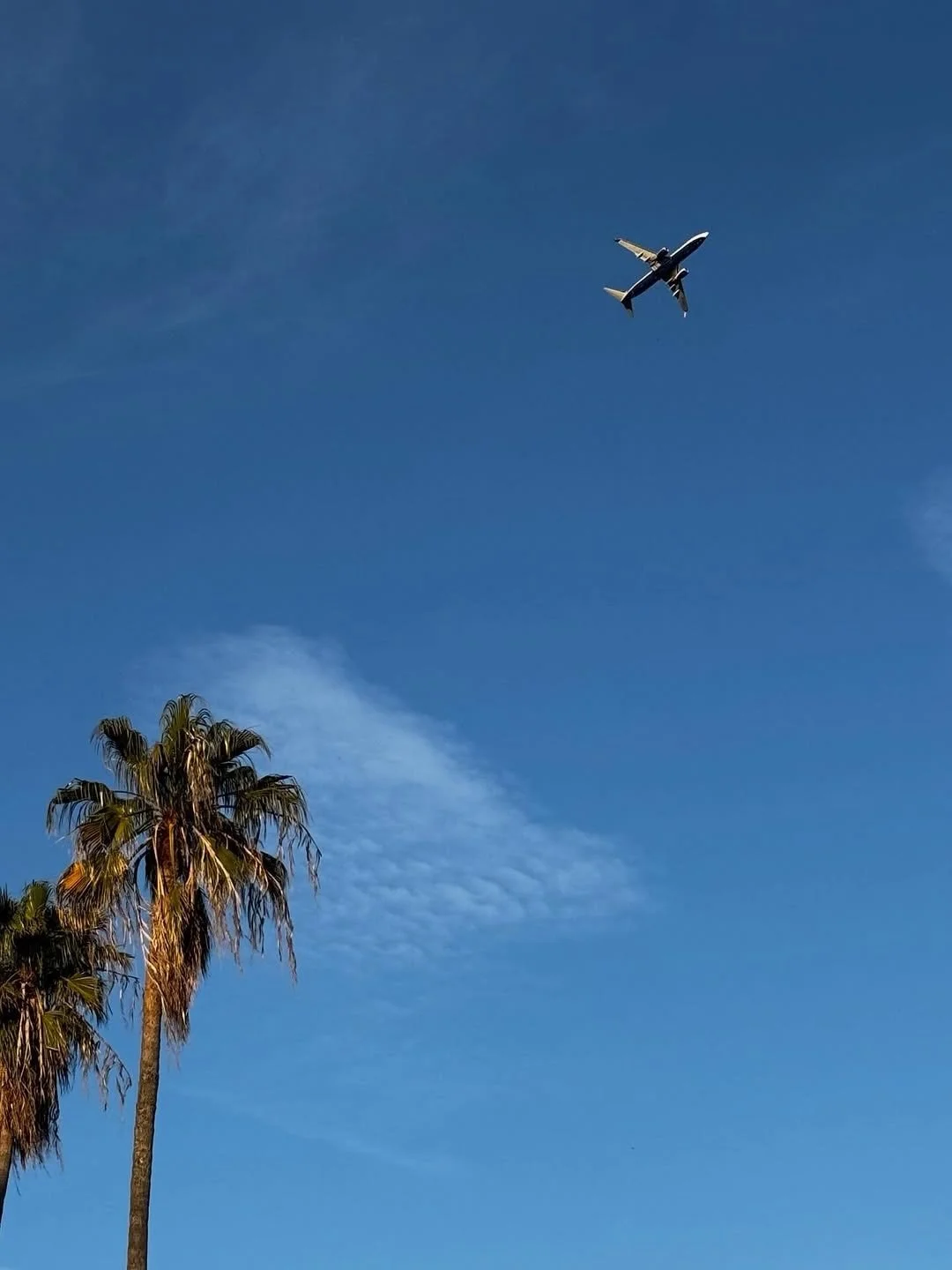 Un oasi di pace e tranquillit&agrave; 🧘🏼&zwj;♀️

📸 @nandino777 
👉🏻 #cityofnaples_it

#napoli #naples #naplesitaly #visititaly